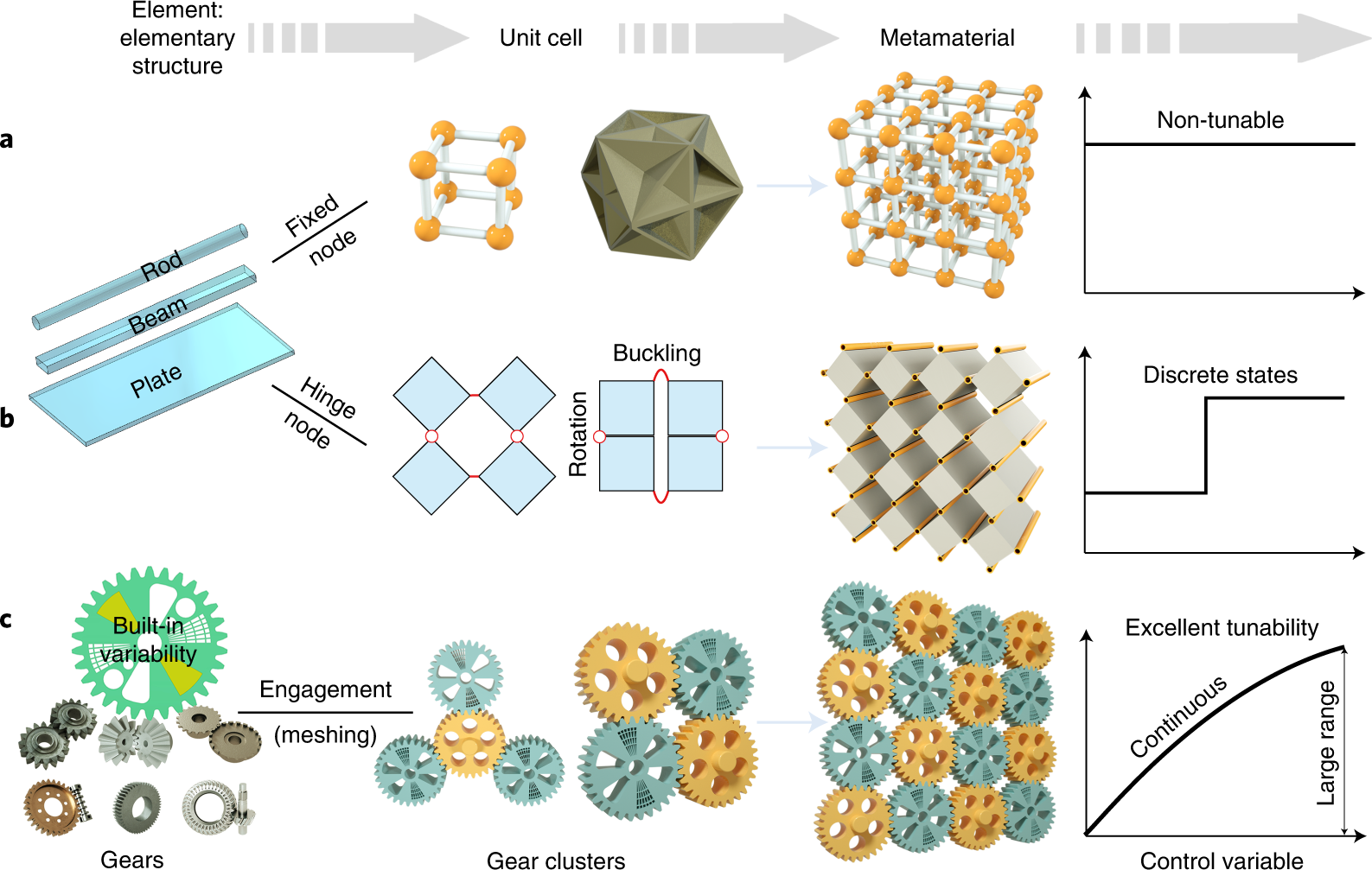 Functioning 'mechanical gears' seen in nature for the first time