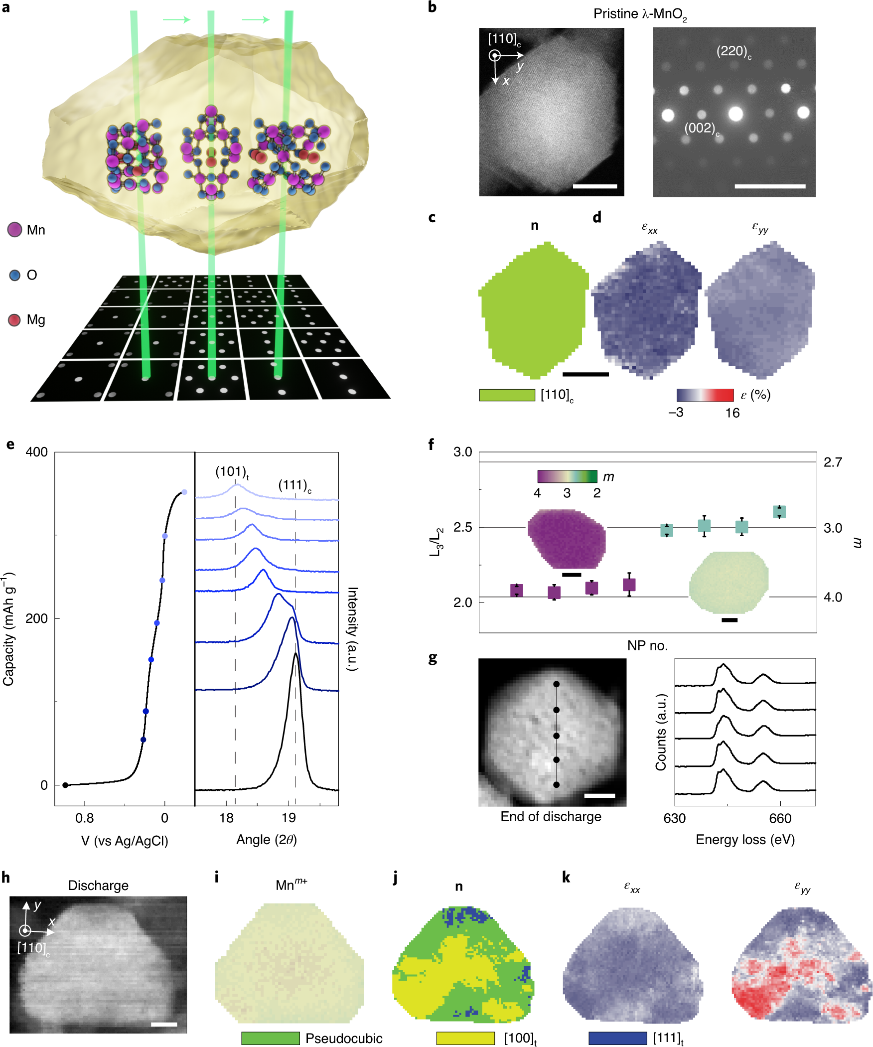 Formation and impact of nanoscopic oriented phase domains in  electrochemical crystalline electrodes | Nature Materials