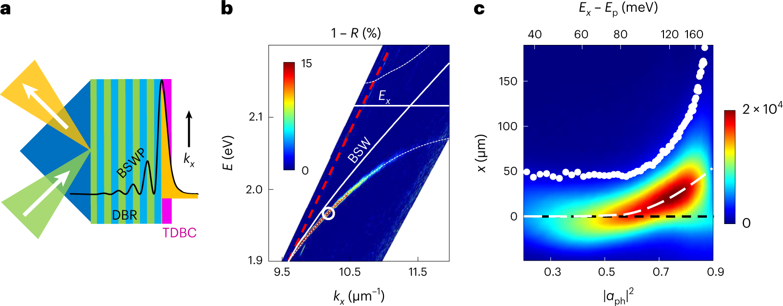 From enhanced diffusion to ultrafast ballistic motion of hybrid  light–matter excitations | Nature Materials