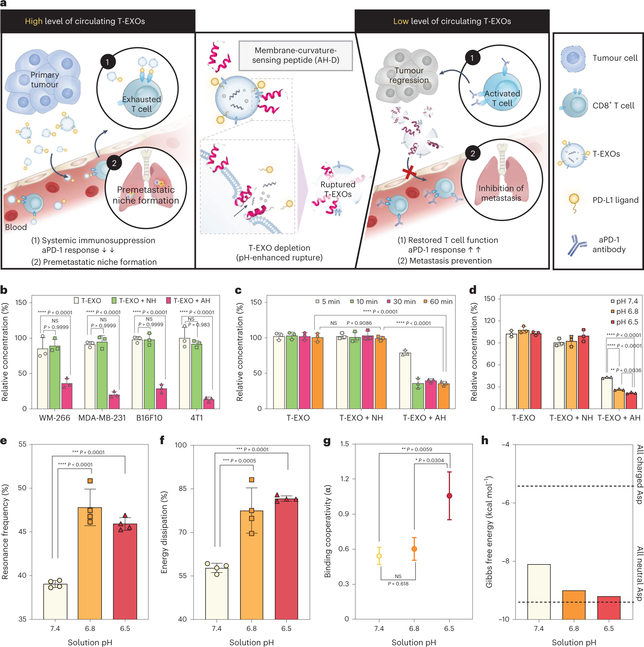 A comprehensive review on peptide-bearing biomaterials: From ex