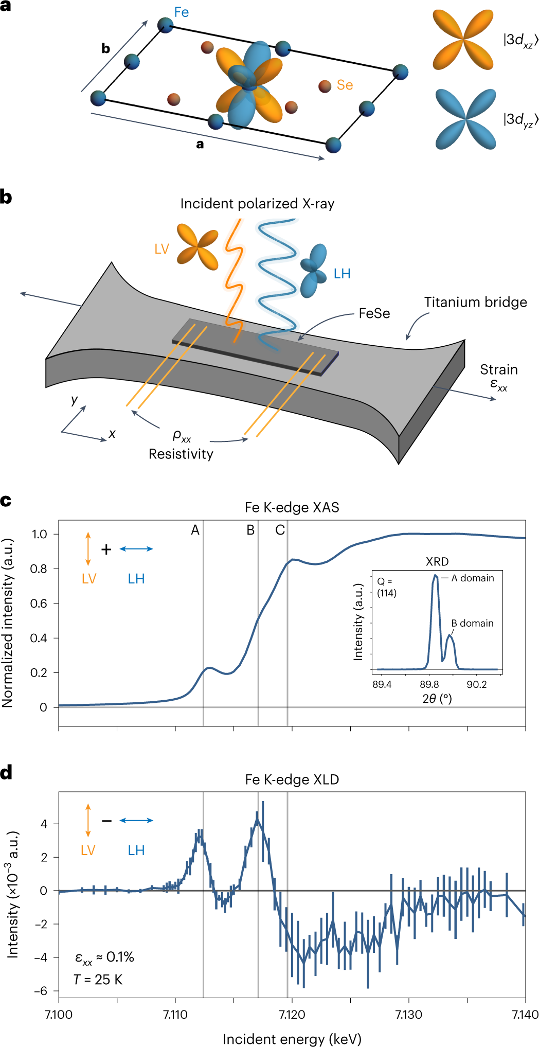 Spontaneous orbital polarization in the nematic phase of FeSe | Nature  Materials