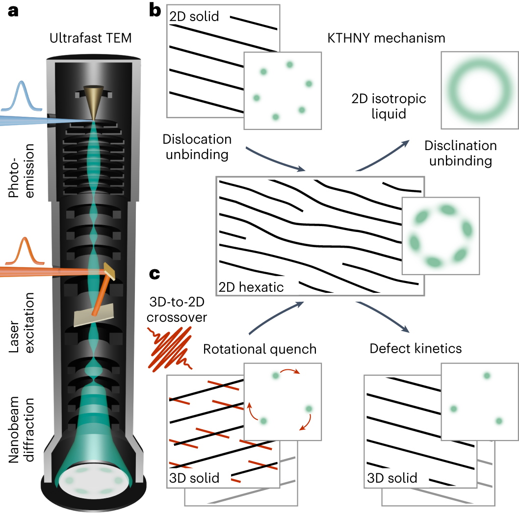 Evolution of the longitudinal phase space in HGHG scheme: (a) before