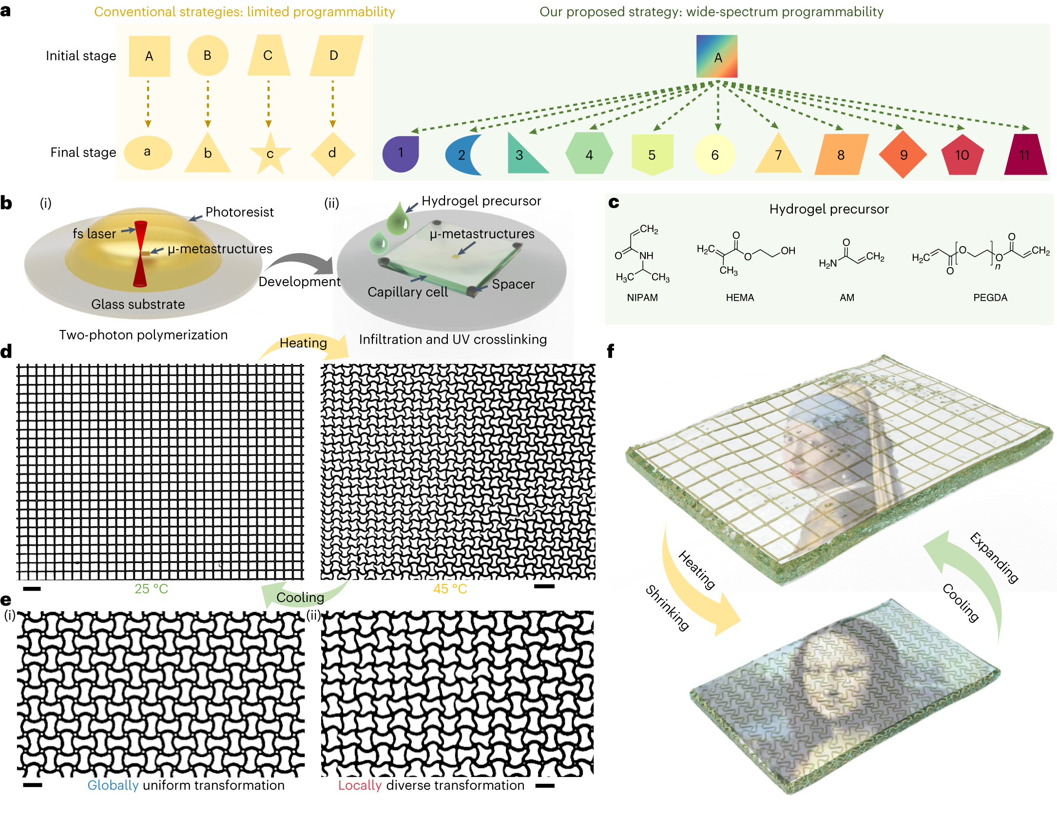 Hydrogel muscles powering reconfigurable micro-metastructures with  wide-spectrum programmability | Nature Materials