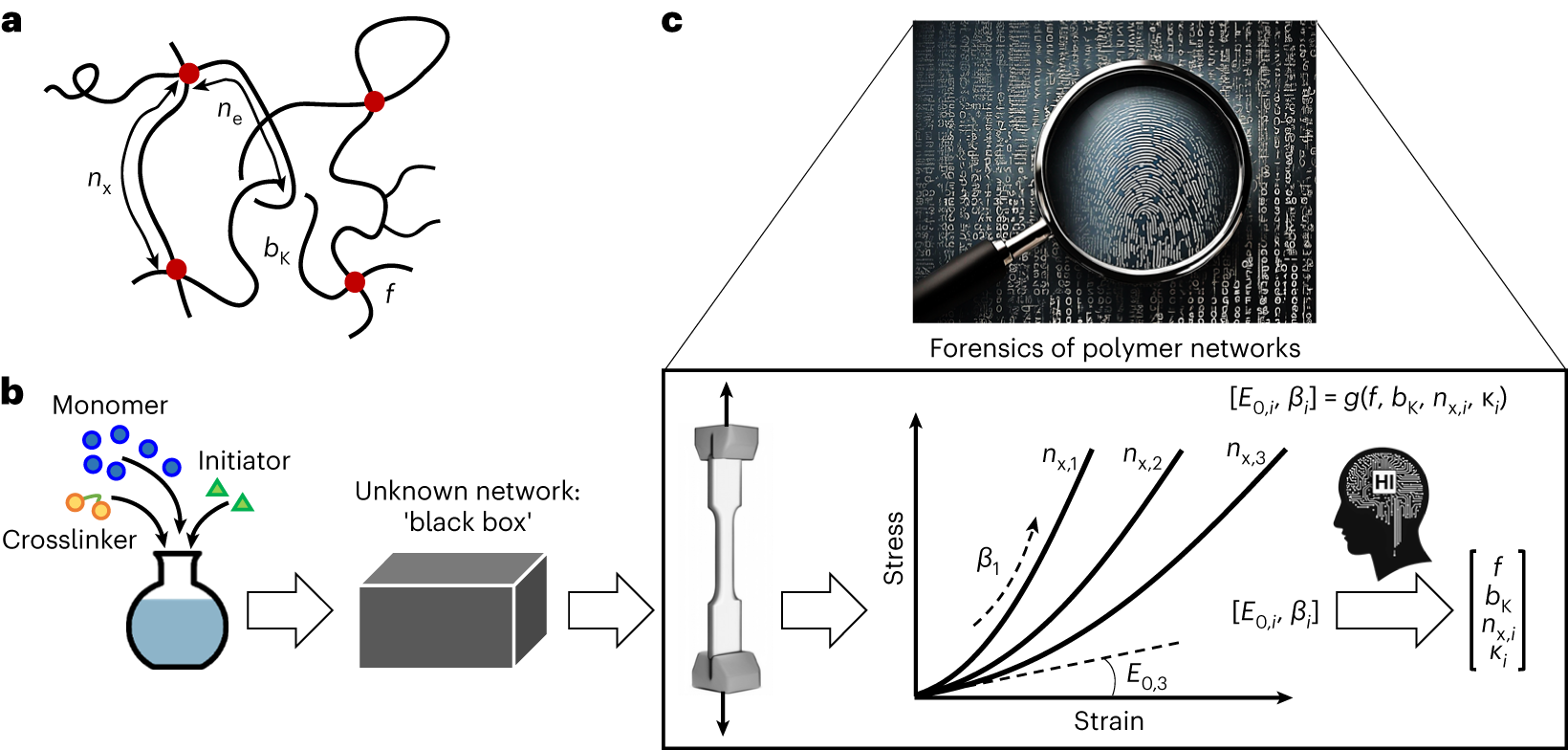 Rubinstein, Colby - Polymer Physics