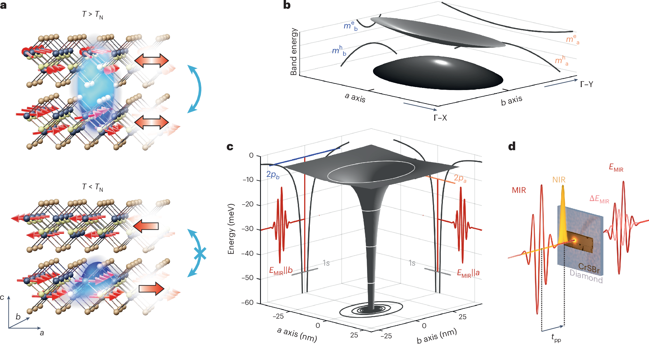 量子情報キャリアを1次元に閉じ込める磁気スイッチ (Magnetic switch traps quantum information carriers in one dimension)
