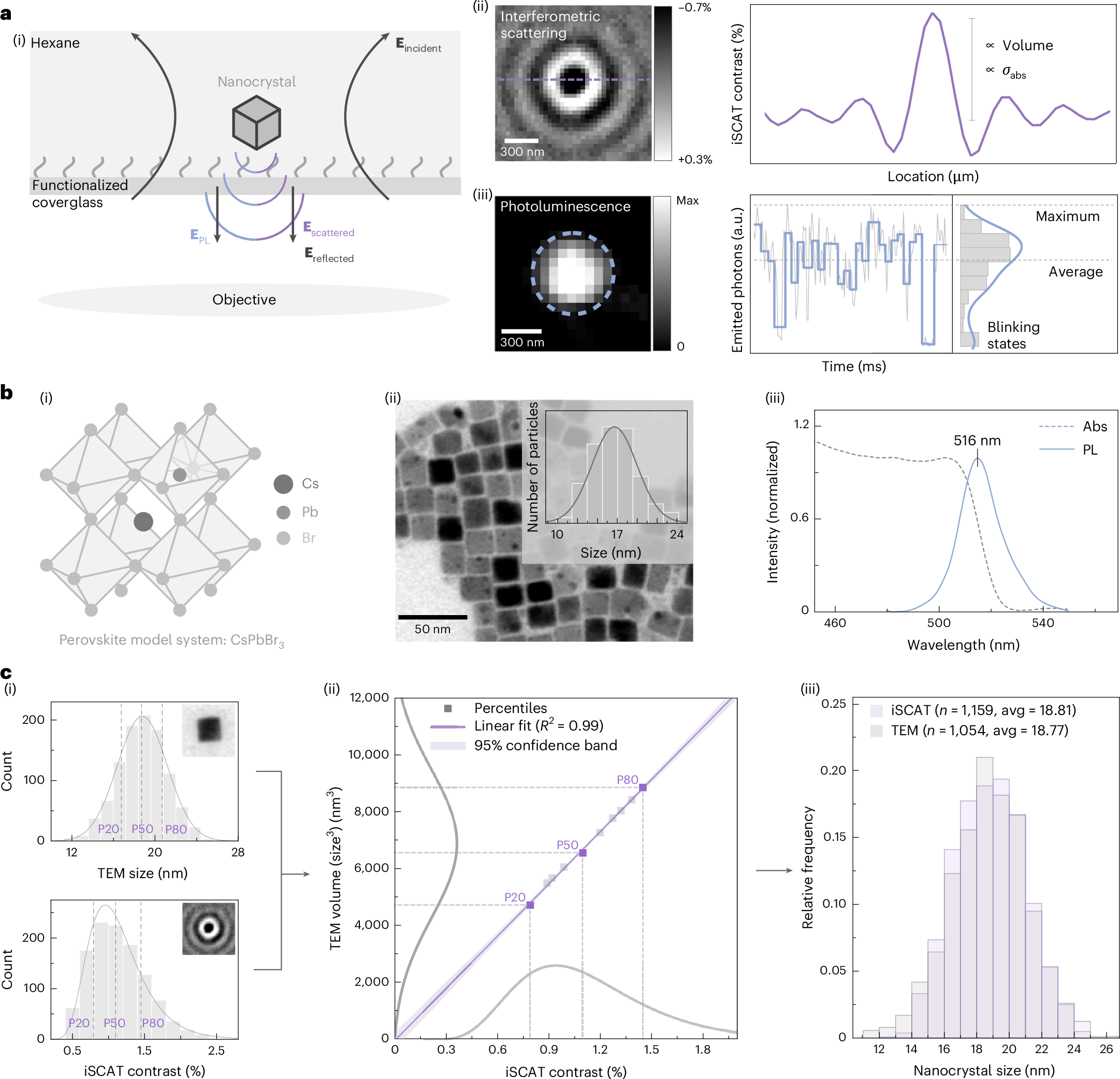 ナノ結晶の高速品質評価法を開発（Nanotechnology: High-throughput screening for nanocrystals）