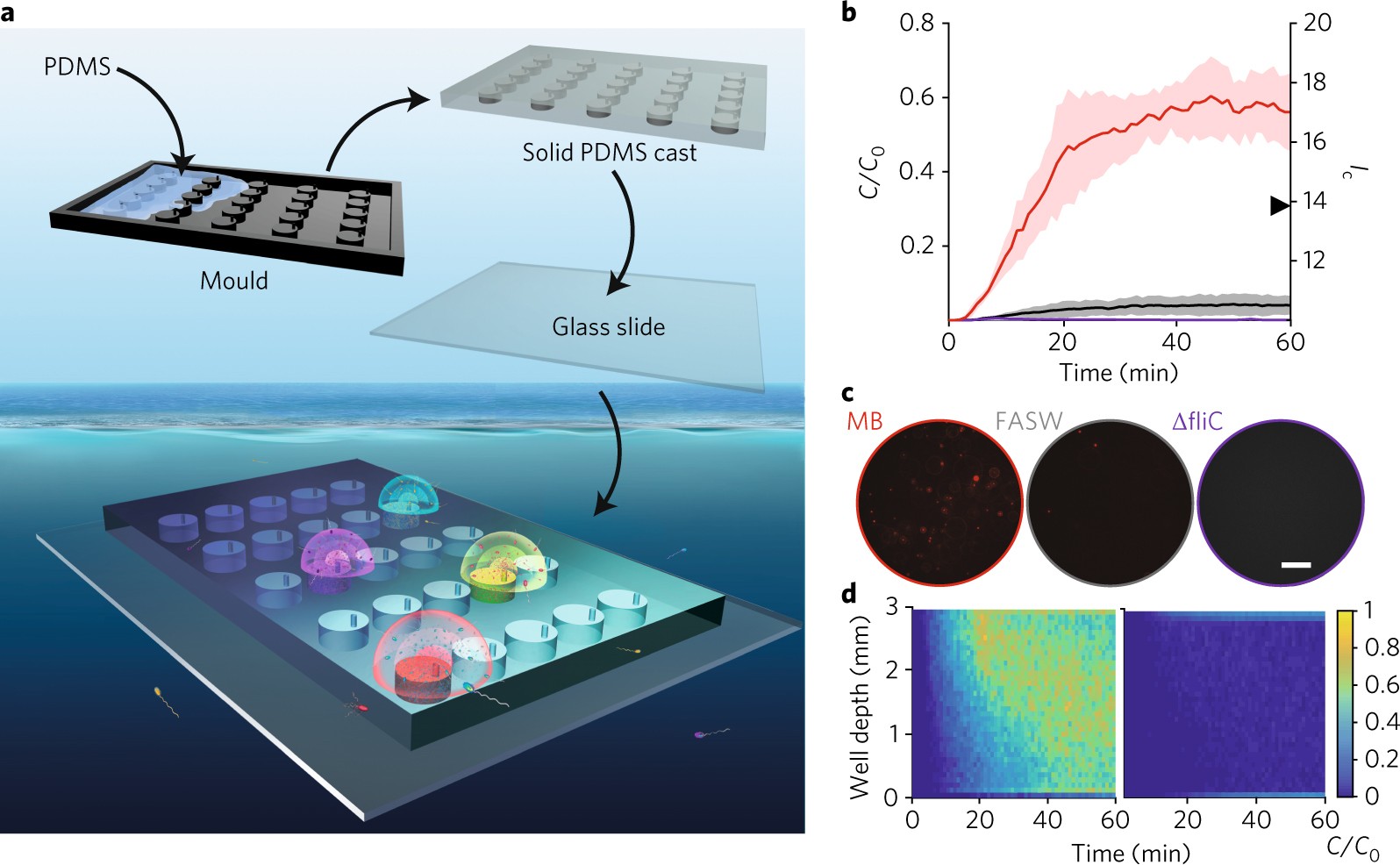 A Microfluidics Based In Situ Chemotaxis Assay To Study The - 