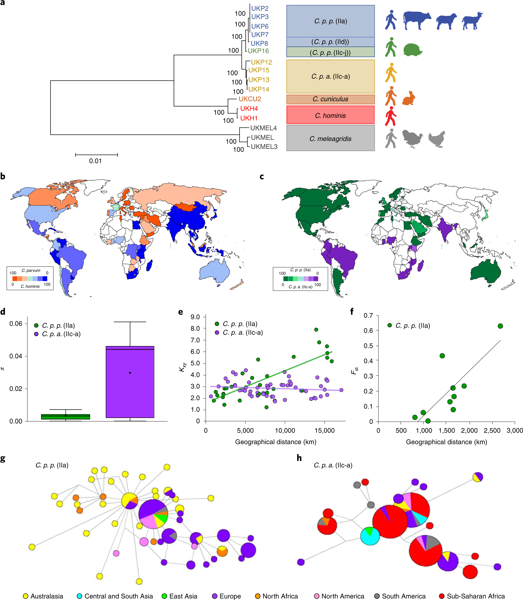 Scientific figure showing phylogenetic relationships, geographic distributions and population genetic differences among Cryptosporidium lineages