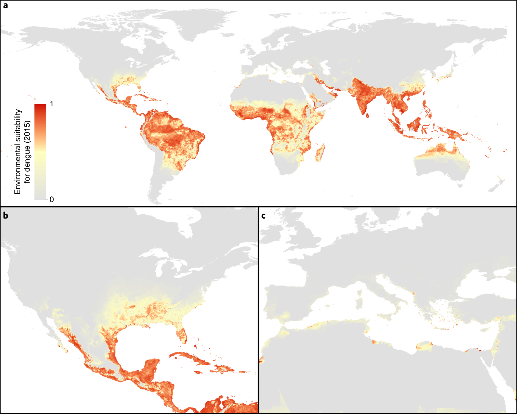 dengue map