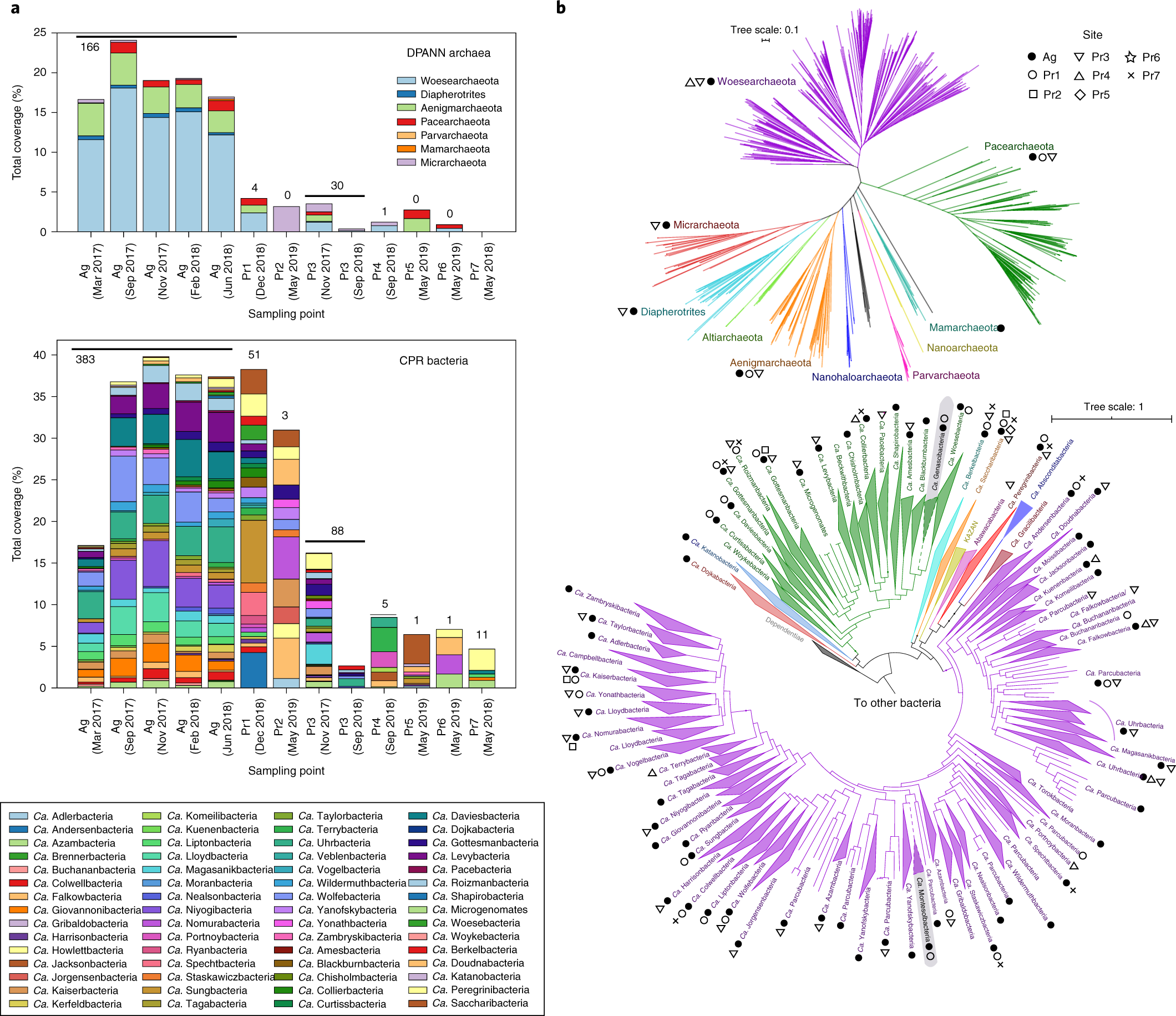 Fig. 2: Distribution of CPR and DPANN organisms across groundwater sites.