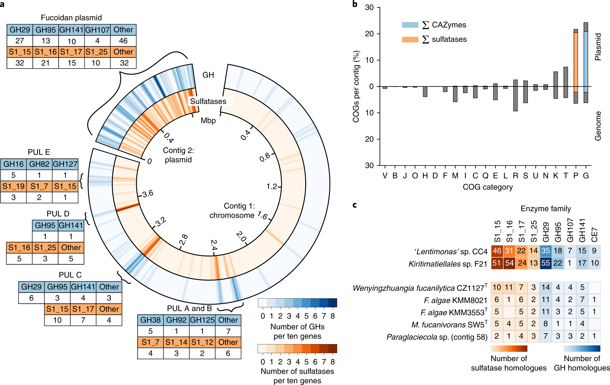 Verrucomicrobia Use Hundreds Of Enzymes To Digest The Algal Polysaccharide Fucoidan Nature Microbiology