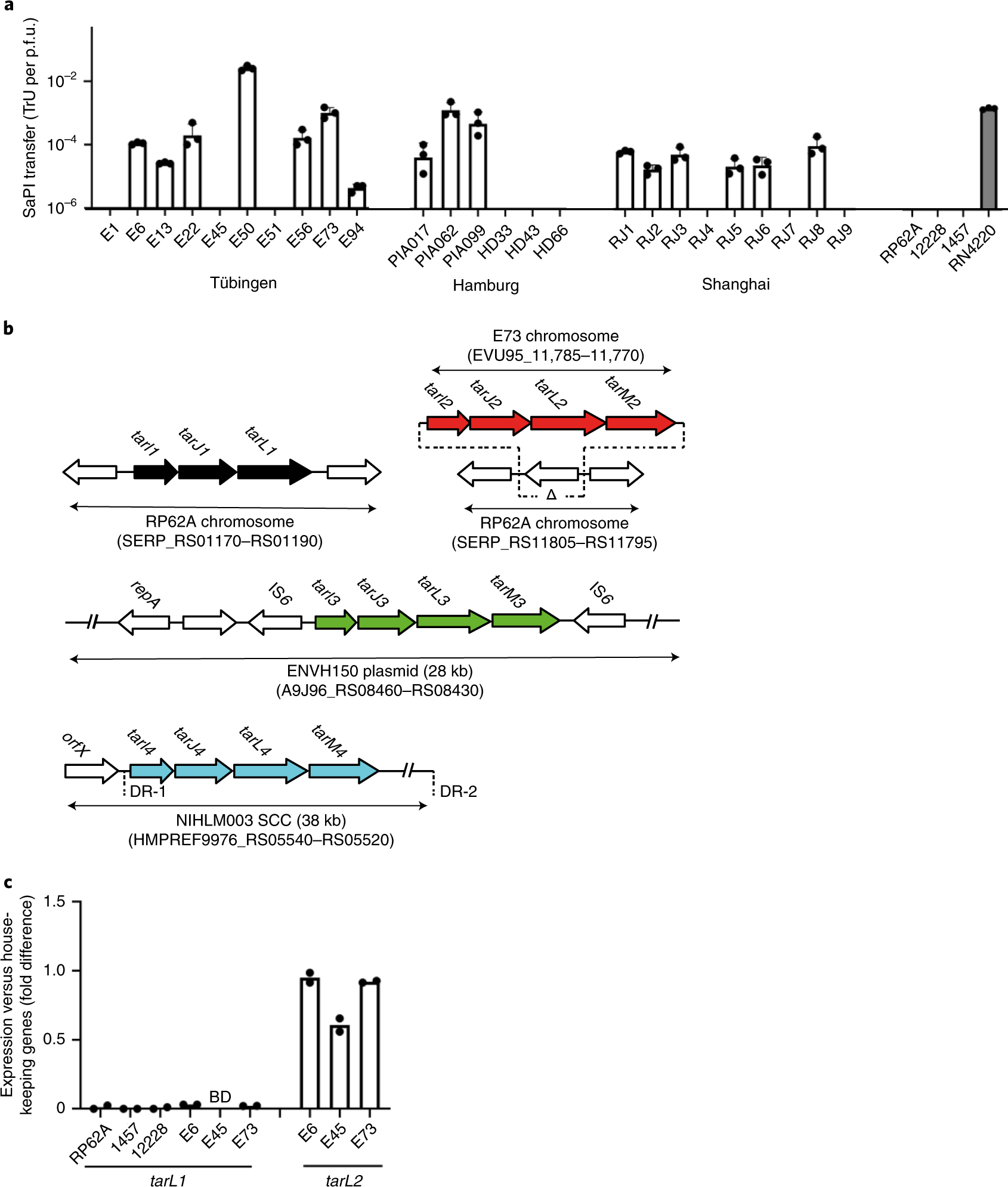 Staphylococcus epidermidis: Trends in Microbiology