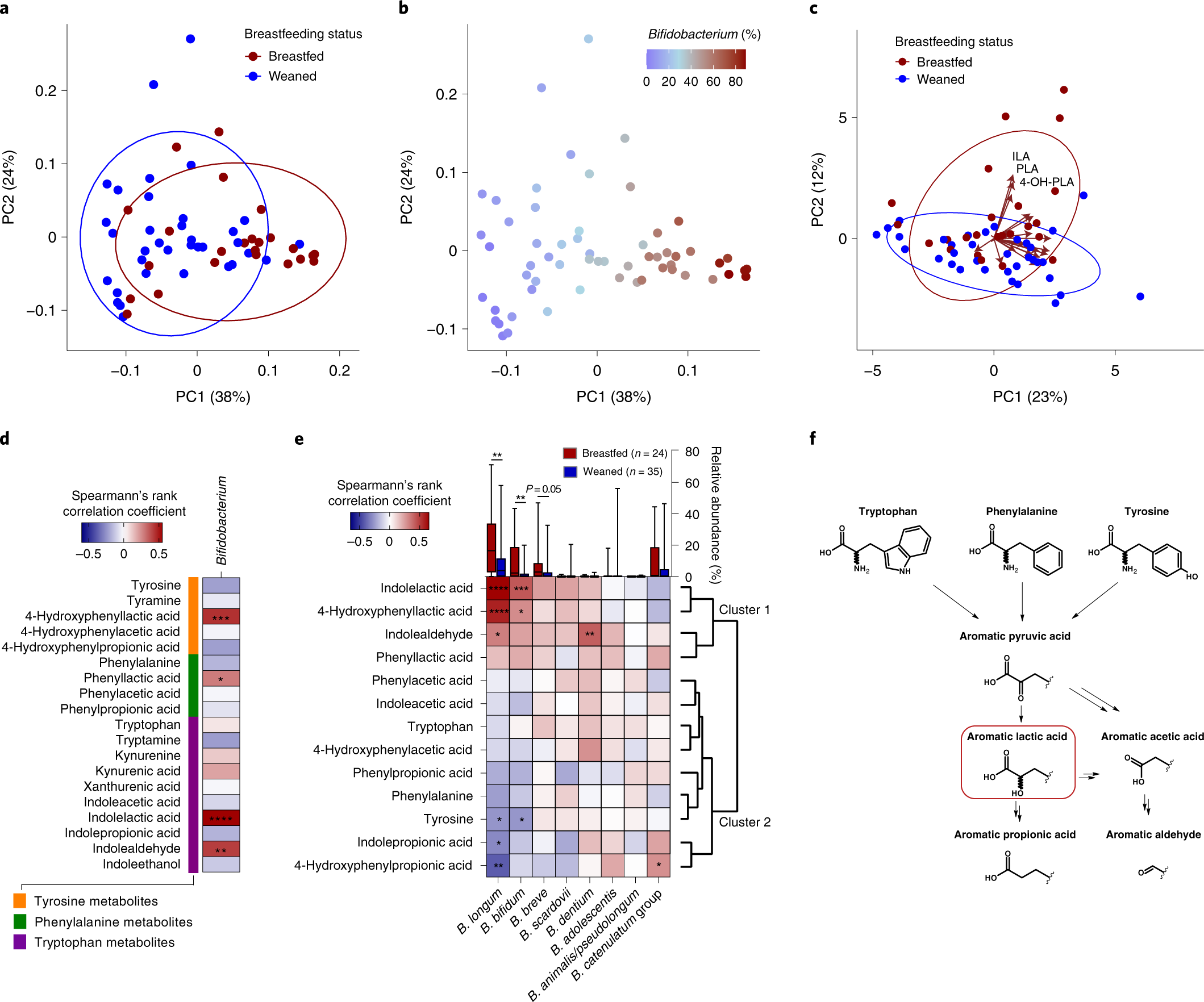 Bifidobacterium species associated with breastfeeding produce aromatic  lactic acids in the infant gut | Nature Microbiology