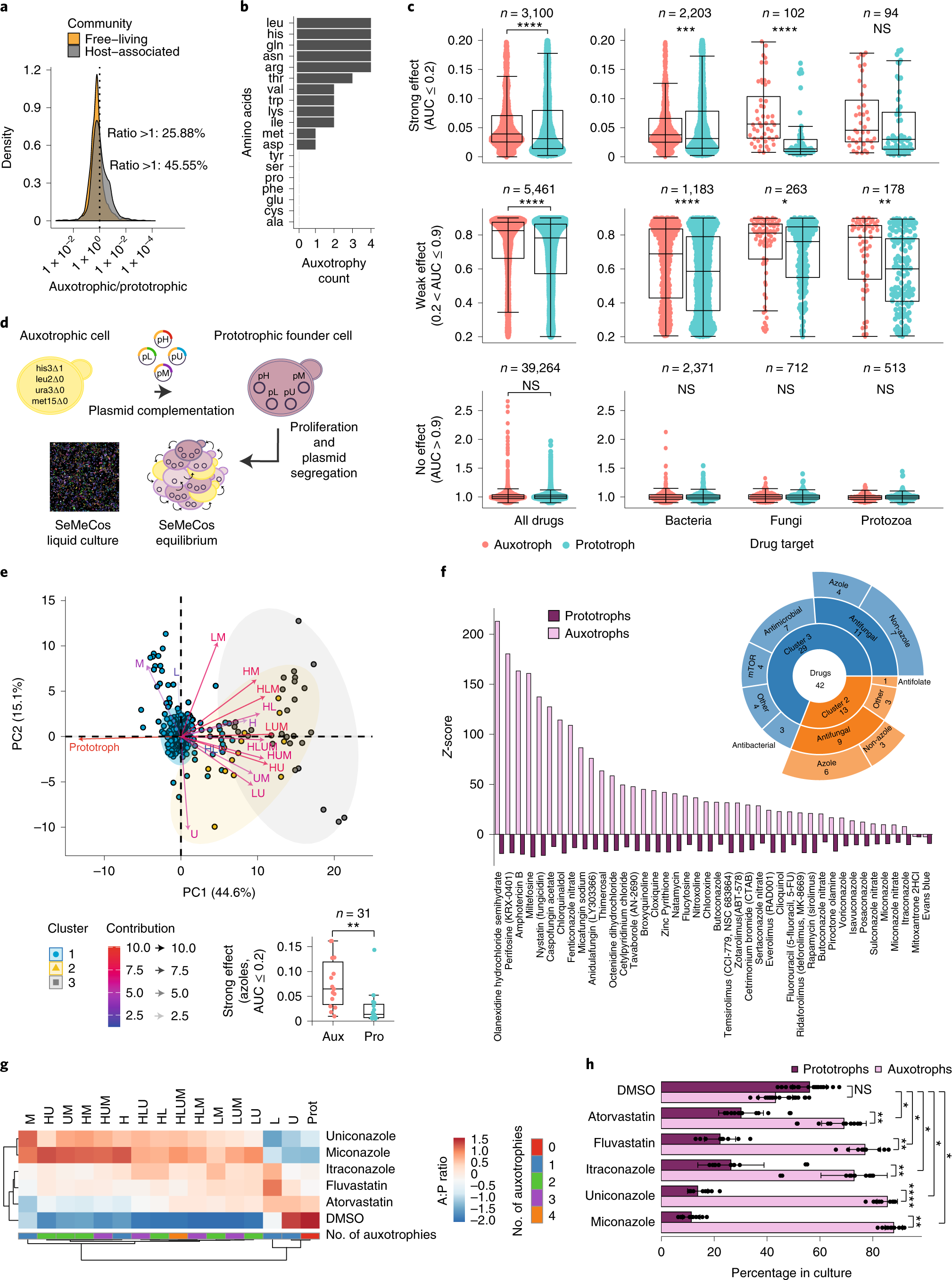 Microbial communities form rich extracellular metabolomes that foster  metabolic interactions and promote drug tolerance | Nature Microbiology