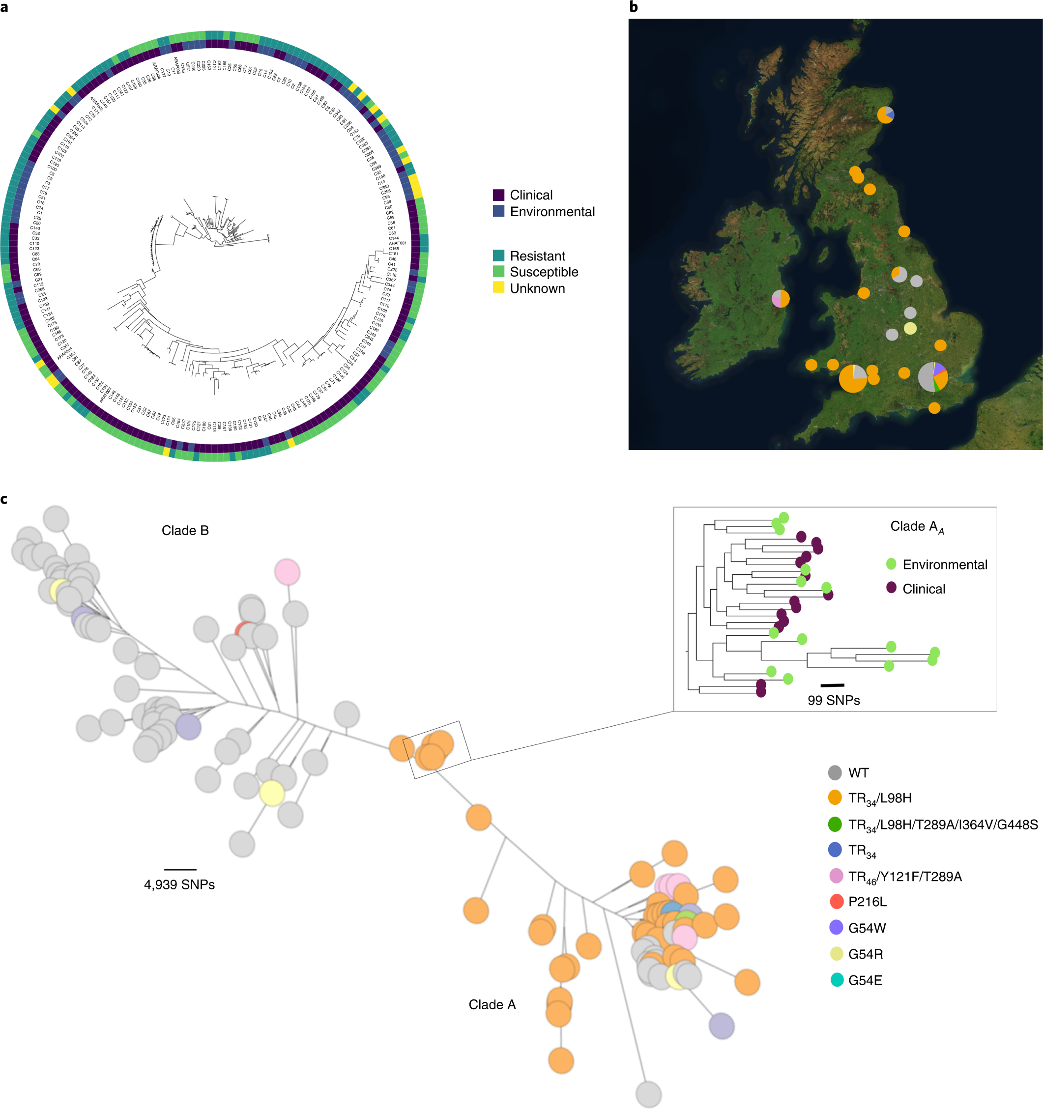 Population genomics confirms acquisition of drug-resistant