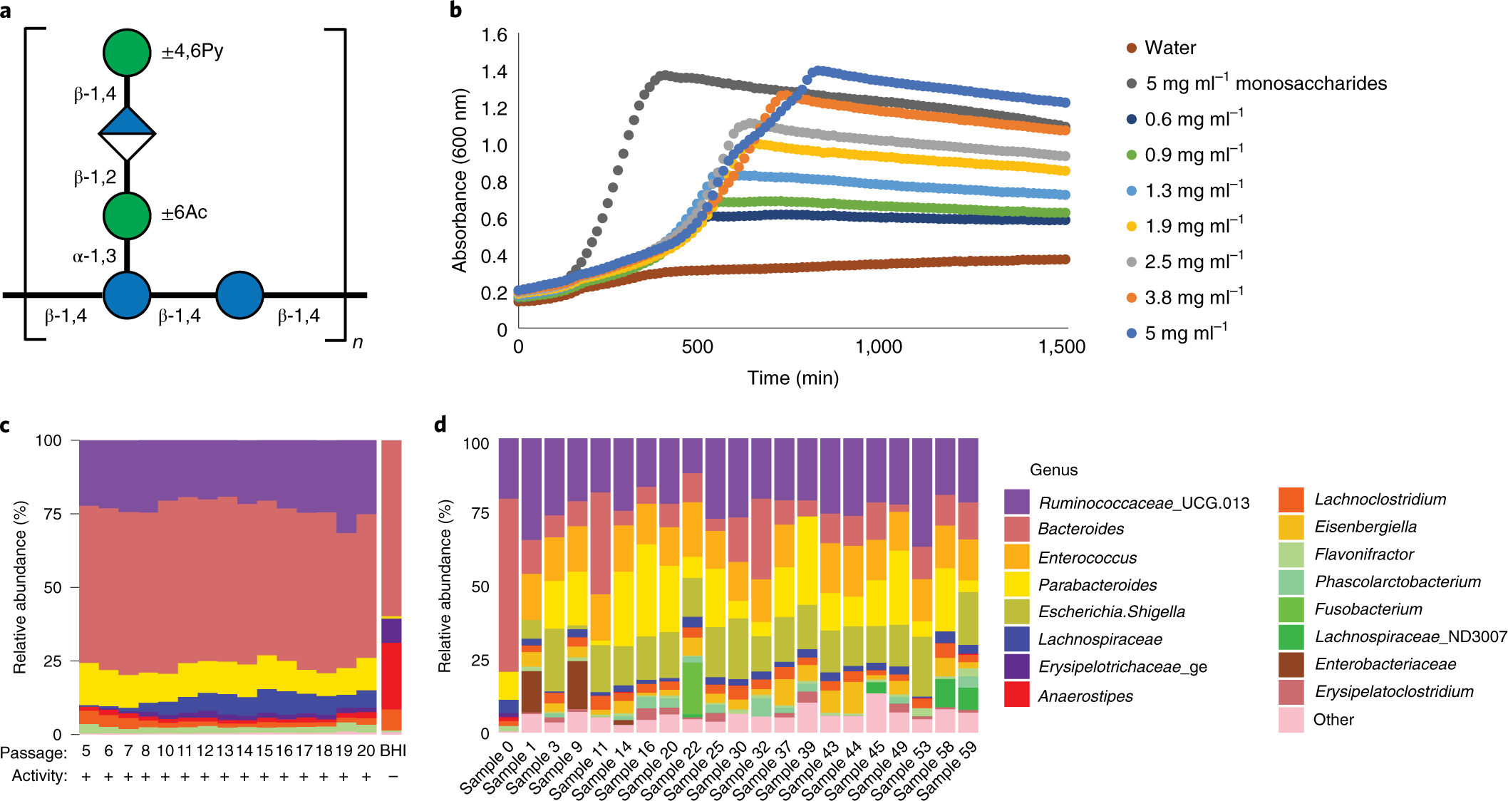 Mechanistic insights into consumption of the food additive xanthan gum by  the human gut microbiota