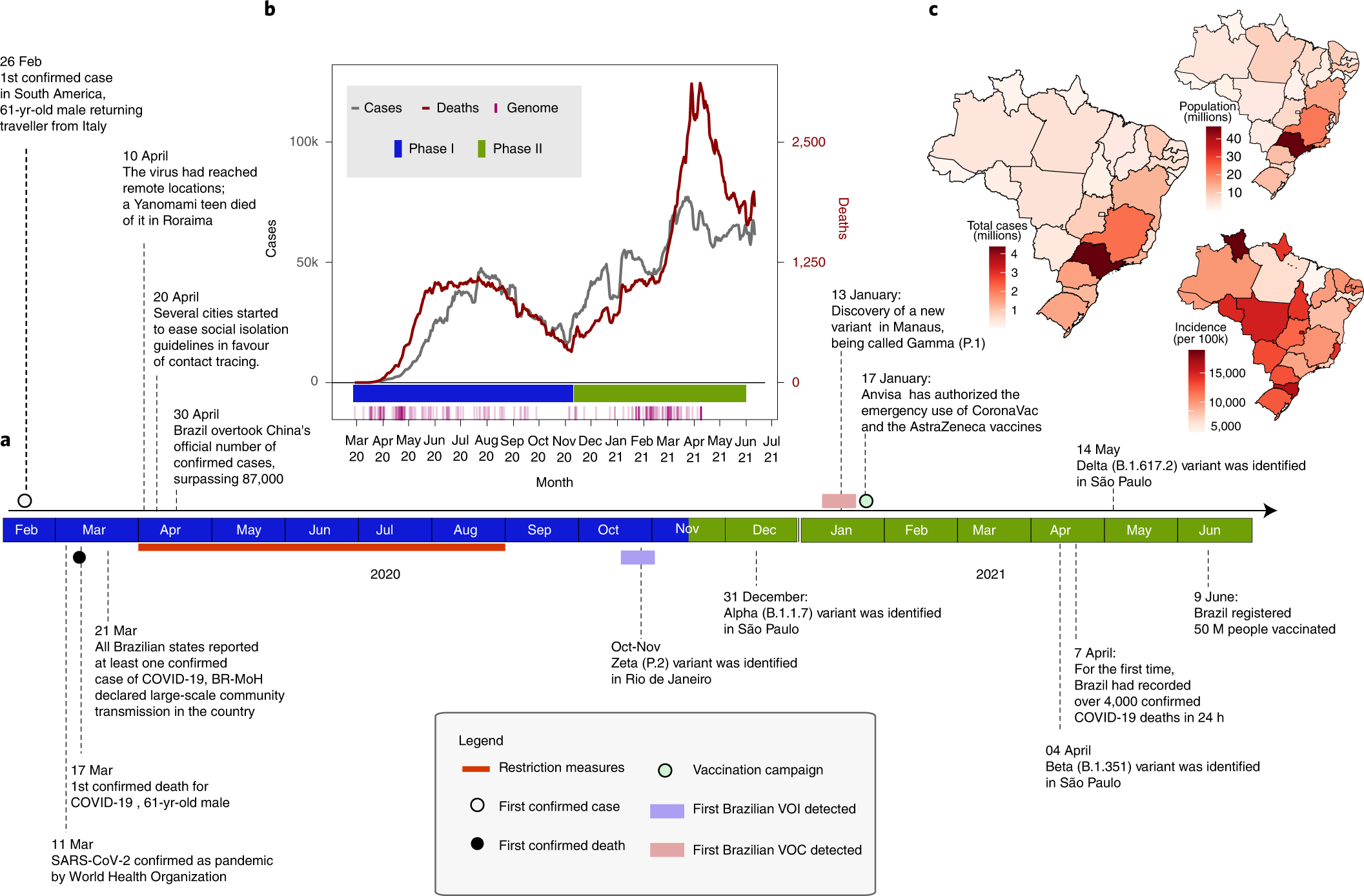 Study of Aggressive Covid-19 Strain in Brazil Suggests Limits of