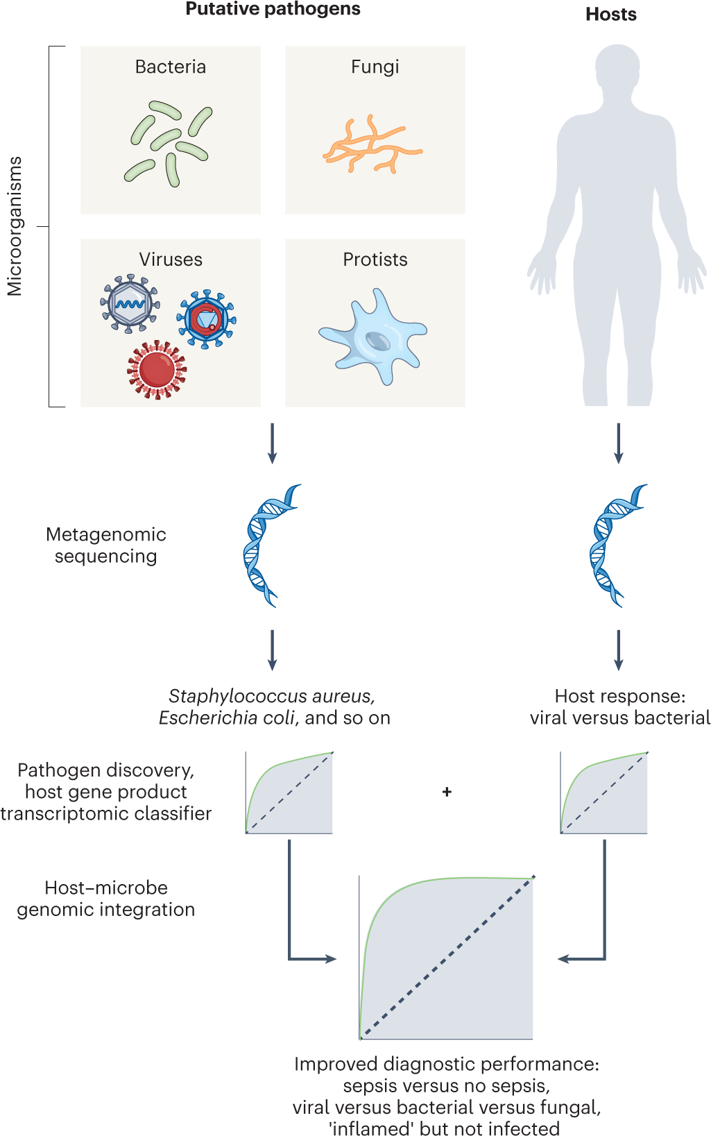 Combining pathogen and host metagenomics for a better sepsis diagnostic |  Nature Microbiology