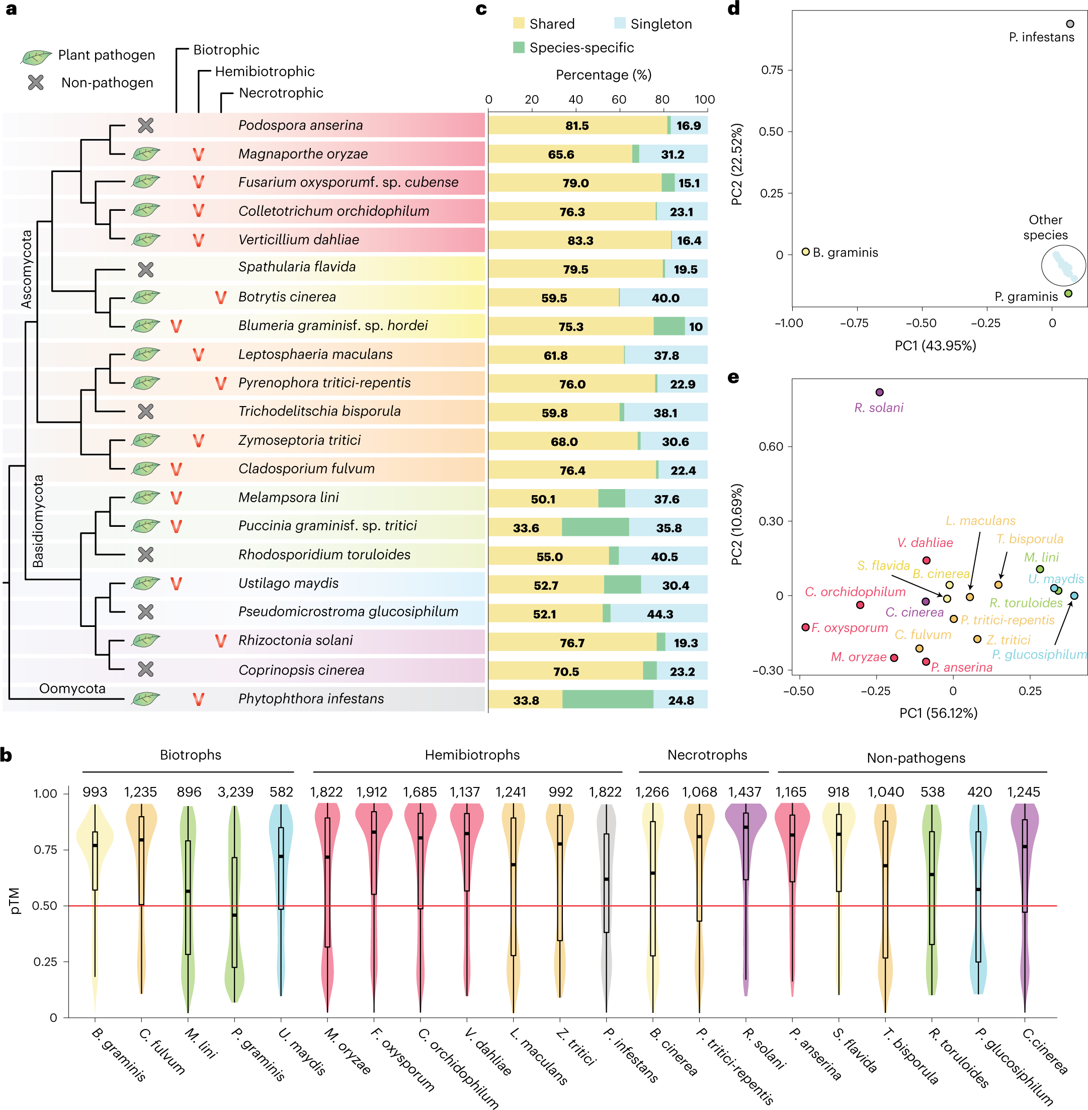 Fig. 1: The design of the comparative genomic study and the statistics of structure prediction and secretome clustering.