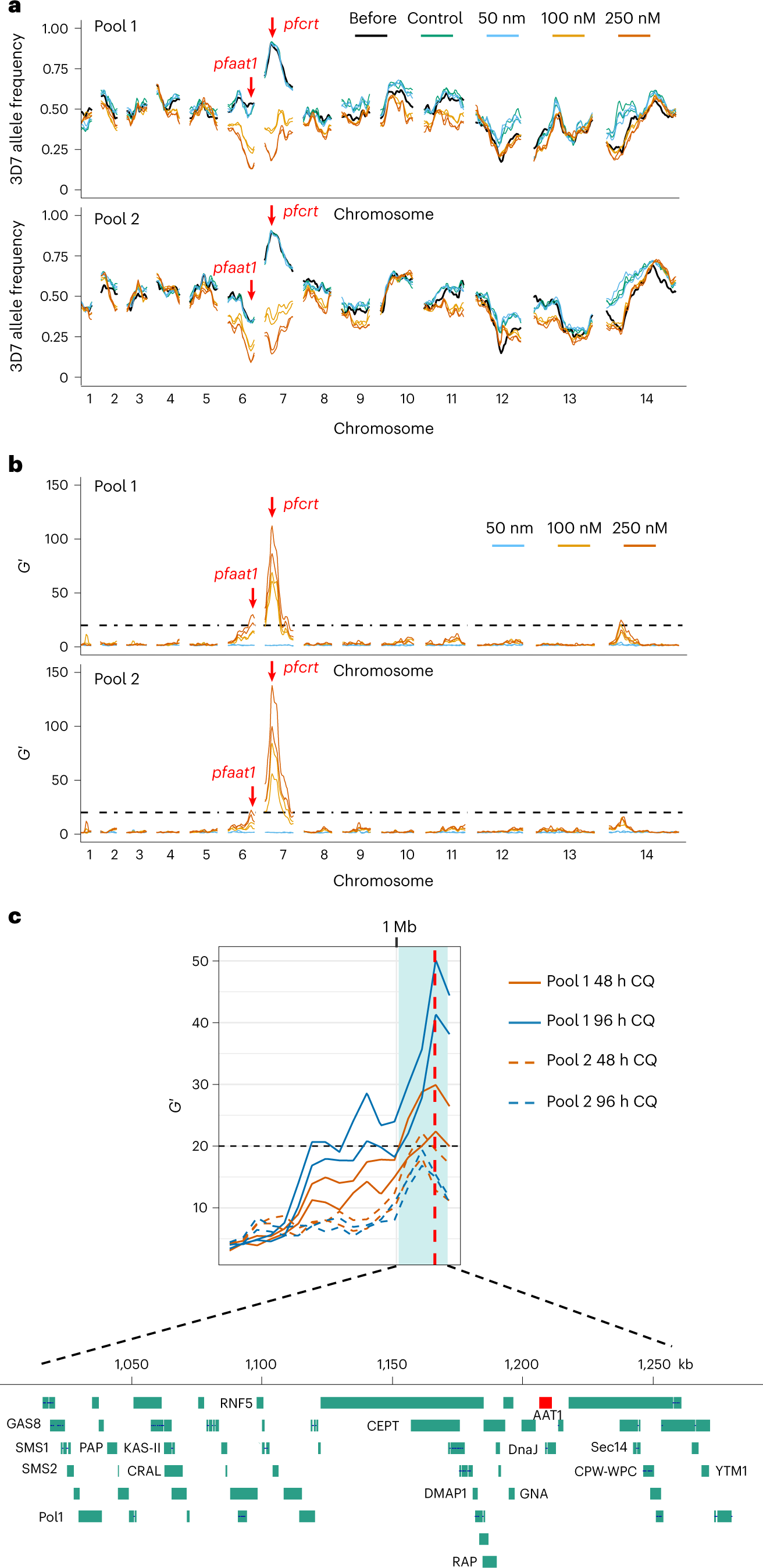 Fig. 3: Genetic crosses and BSA reveal two QTL after CQ selection.