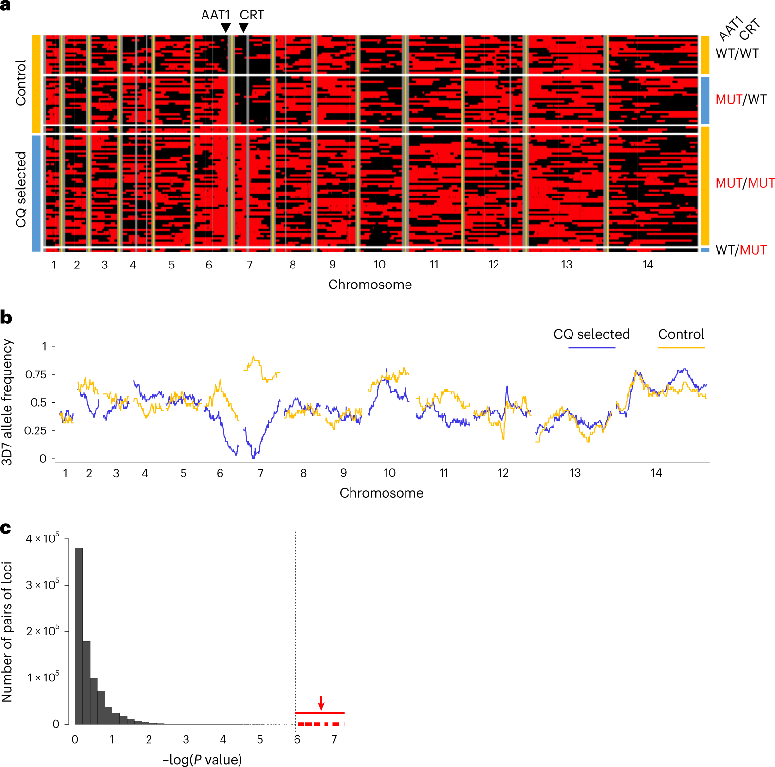 Fig. 4: Analysis of cloned progeny reveals linkage and epistatic interactions between pfcrt and pfaat1.