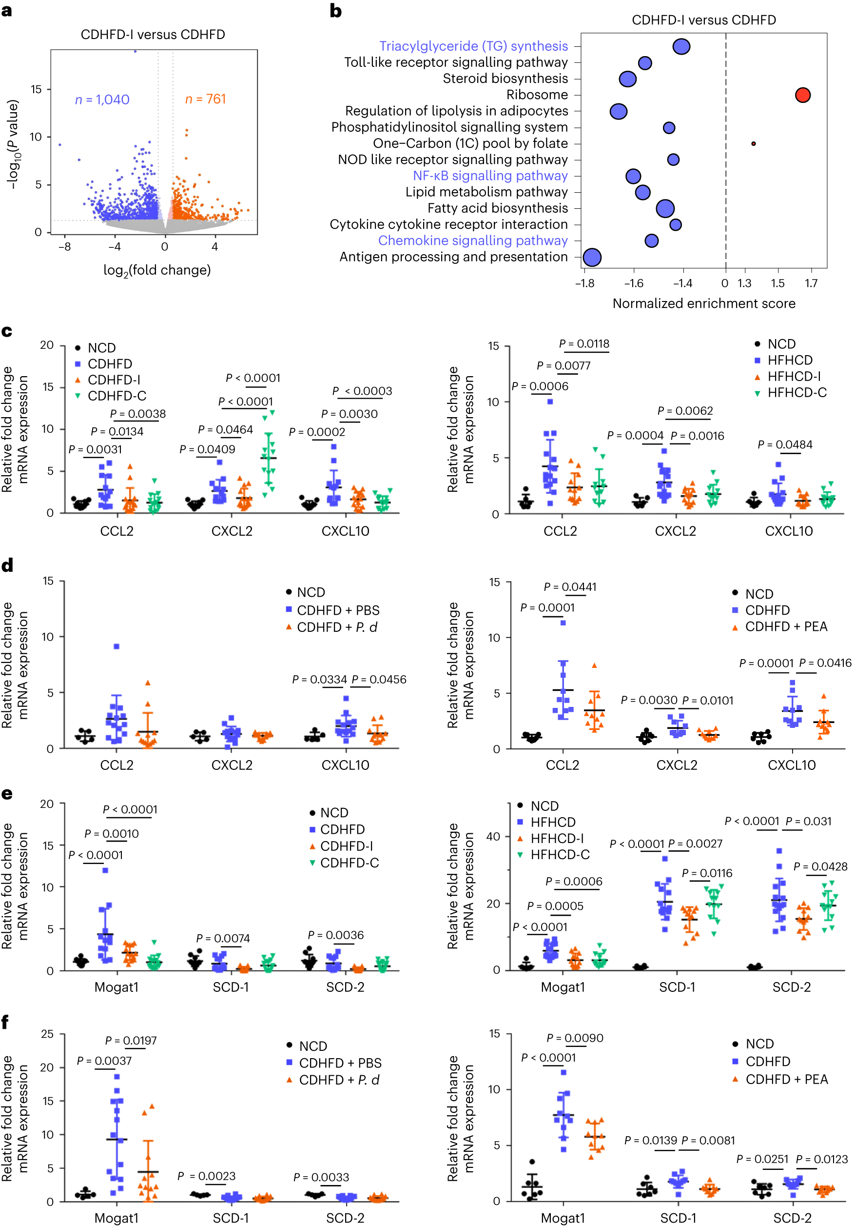 Fig. 6: Inulin suppressed hepatic inflammation and TG synthesis pathways through enriching P. distasonis and pentadecanoic acid.