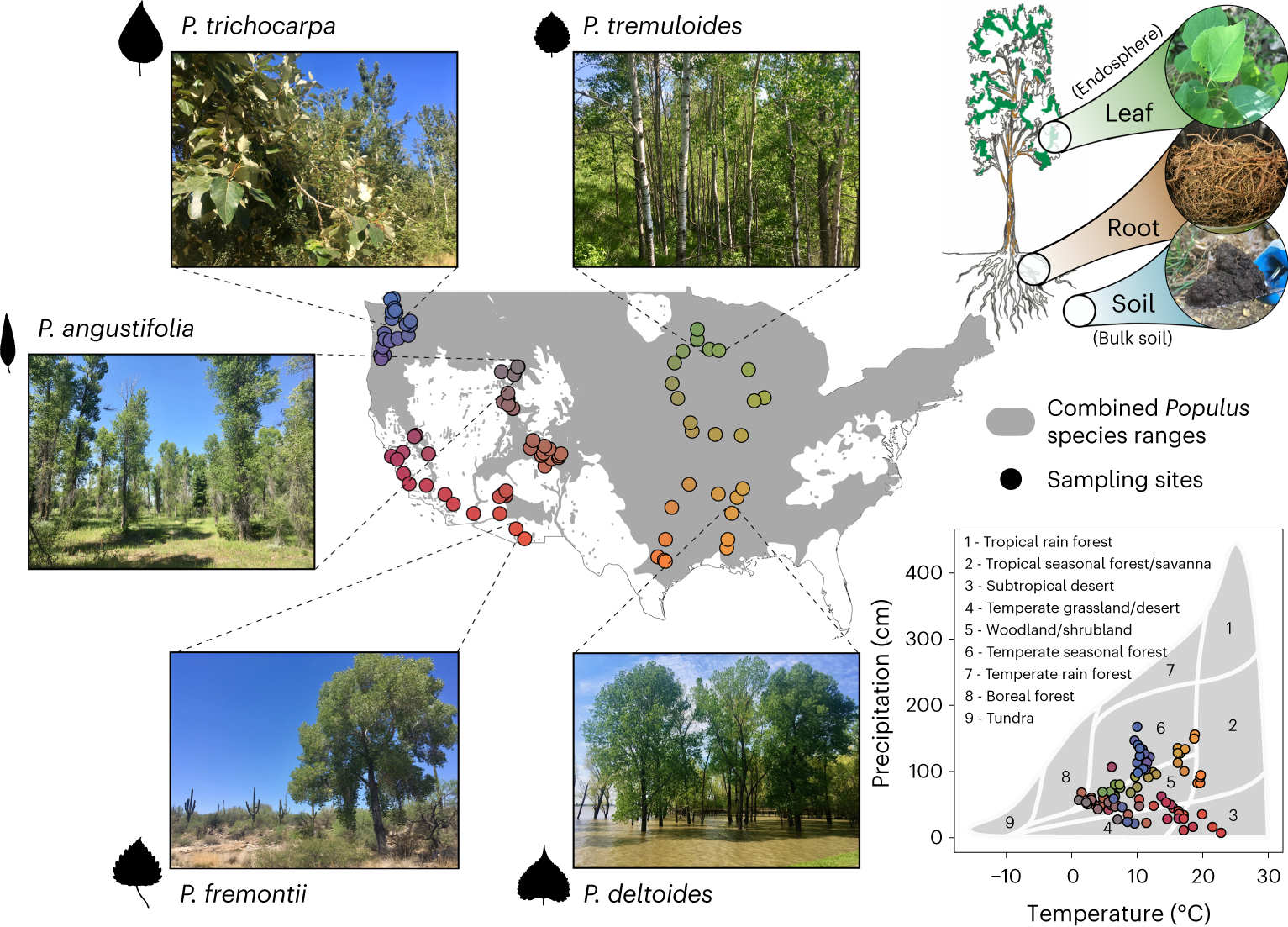 https://media.springernature.com/full/springer-static/image/art%3A10.1038%2Fs41564-023-01514-8/MediaObjects/41564_2023_1514_Fig1_HTML.png