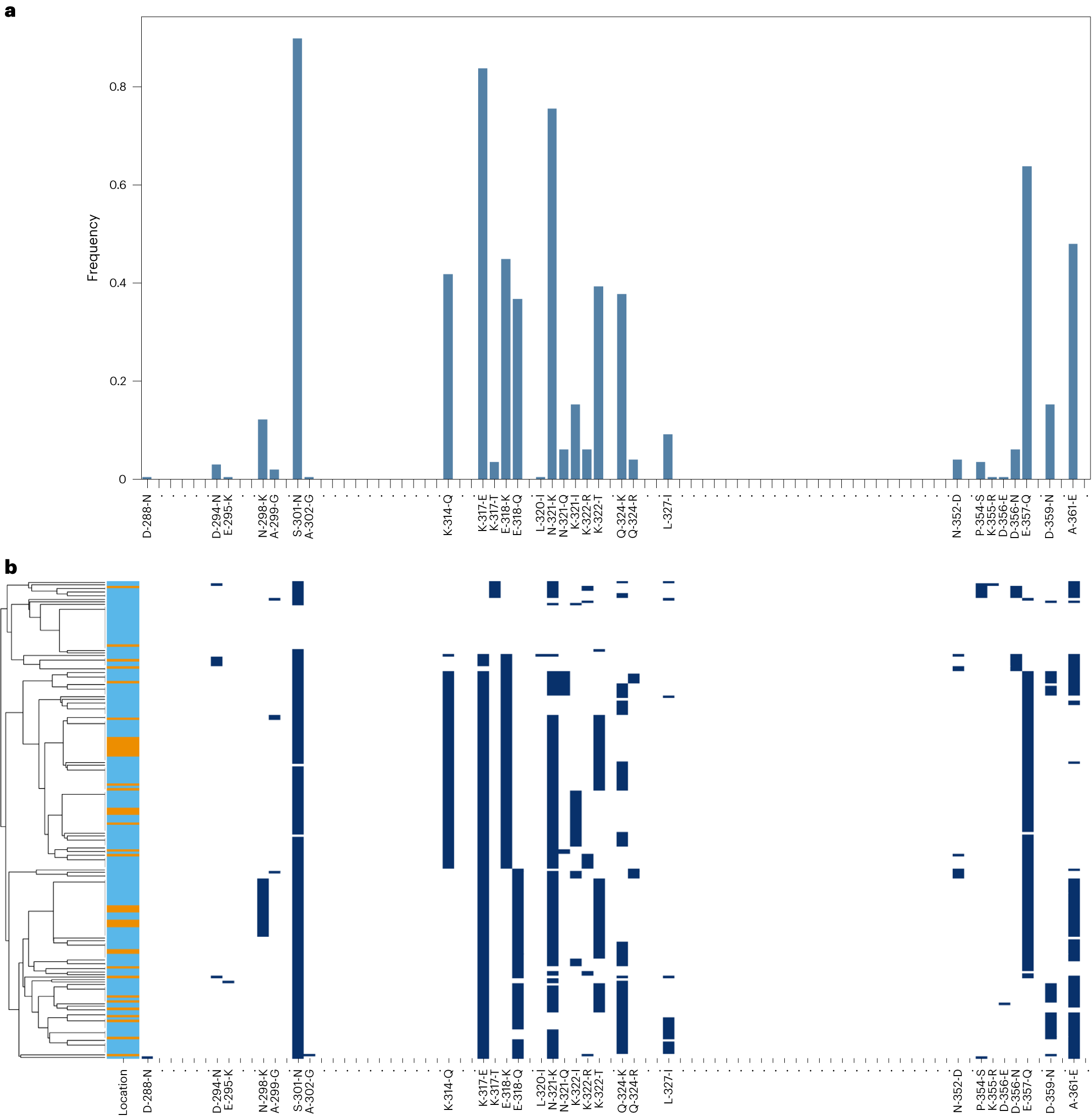Fig. 4: SNP frequencies in the csp CTR.