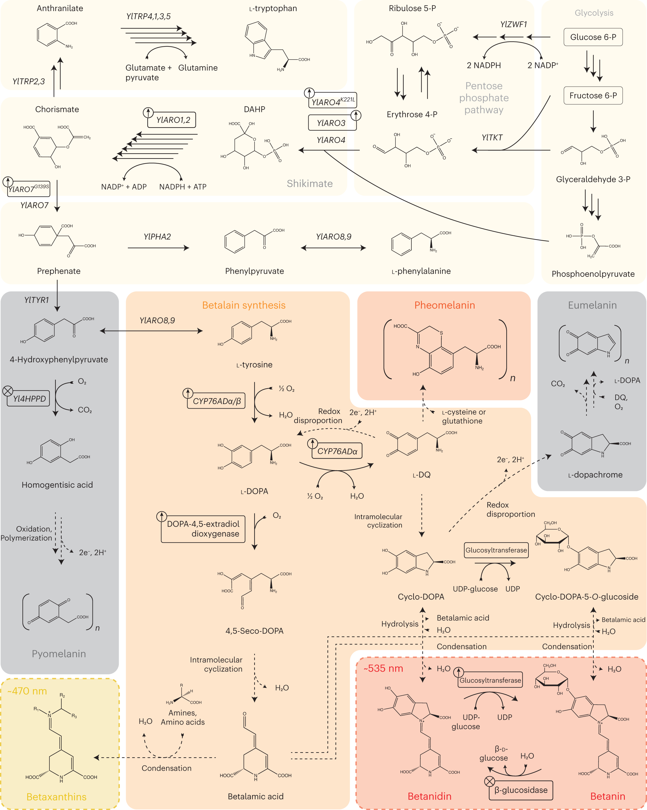 Expressions of Uncertainty in Visual Arts, Read with J. Bertin's