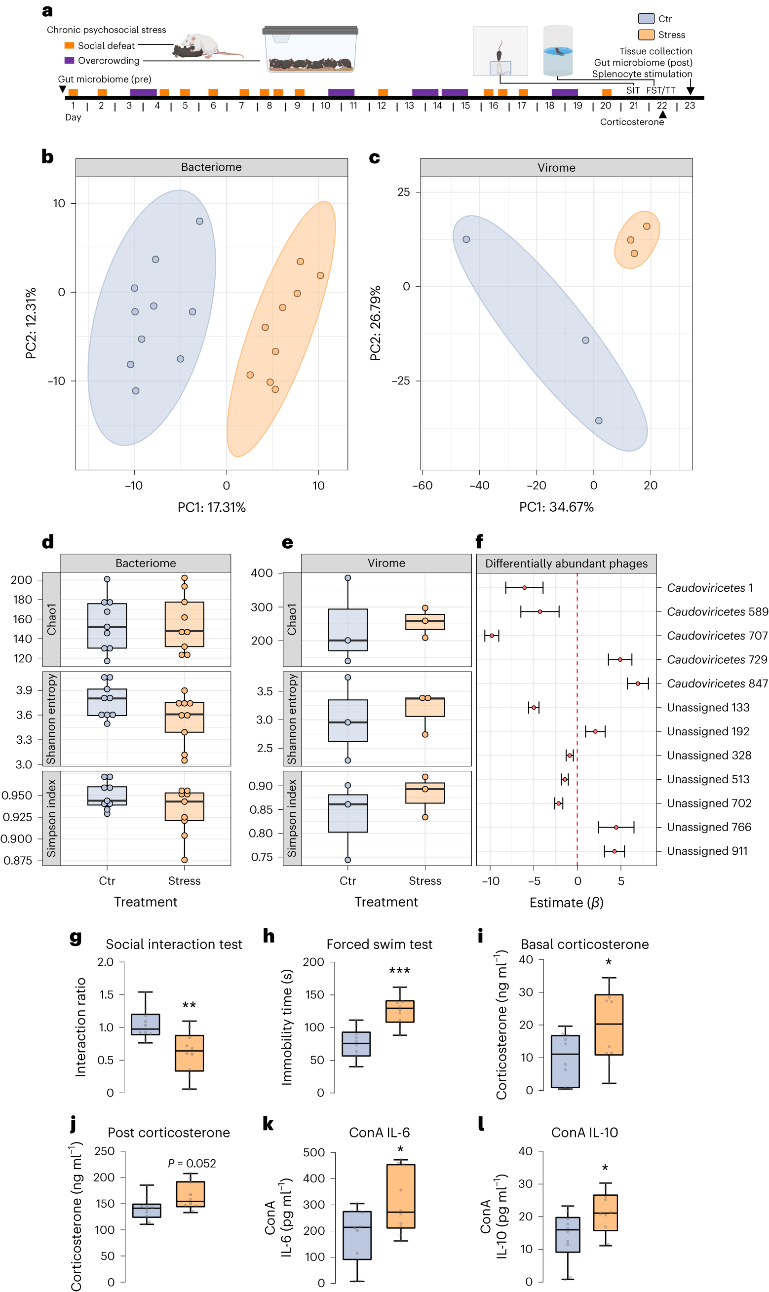 Fig. 1: Chronic psychosocial stress leads to microbiome, behavioural, physiological and immune alterations.