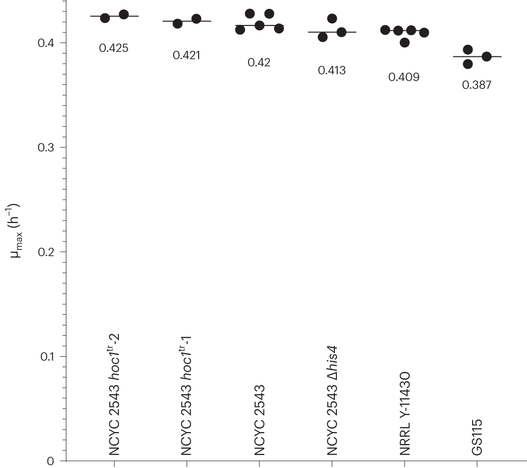 Fig. 2: Comparison of the maximal growth rate of NRRL Y-11430, NCYC 2543, the two NCYC 2543 hoc1tr mutants, GS115 and NCYC 2543 Δhis4.