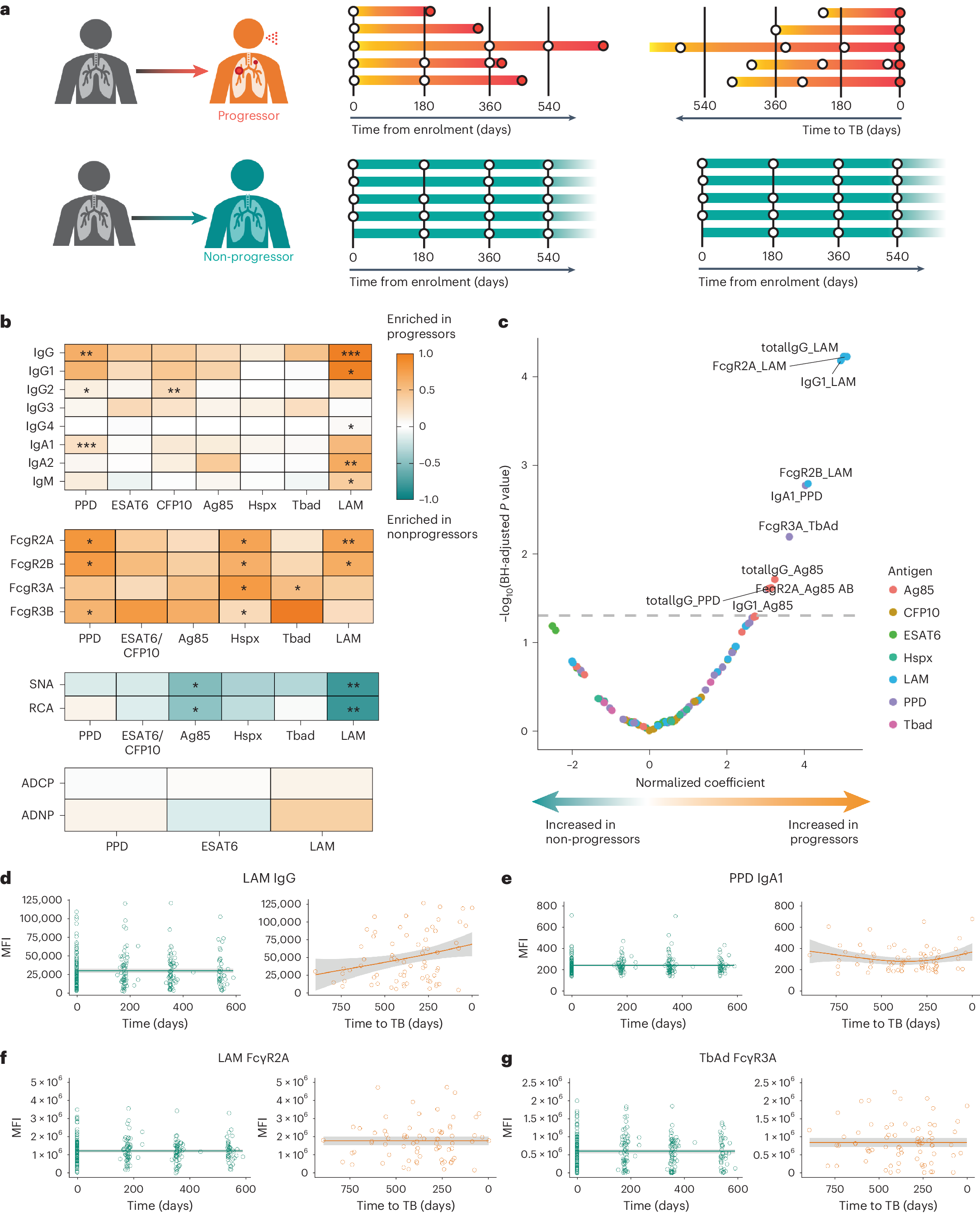 Fig. 1: ACS progressors exhibit distinct Mtb-specific antibody profiles.