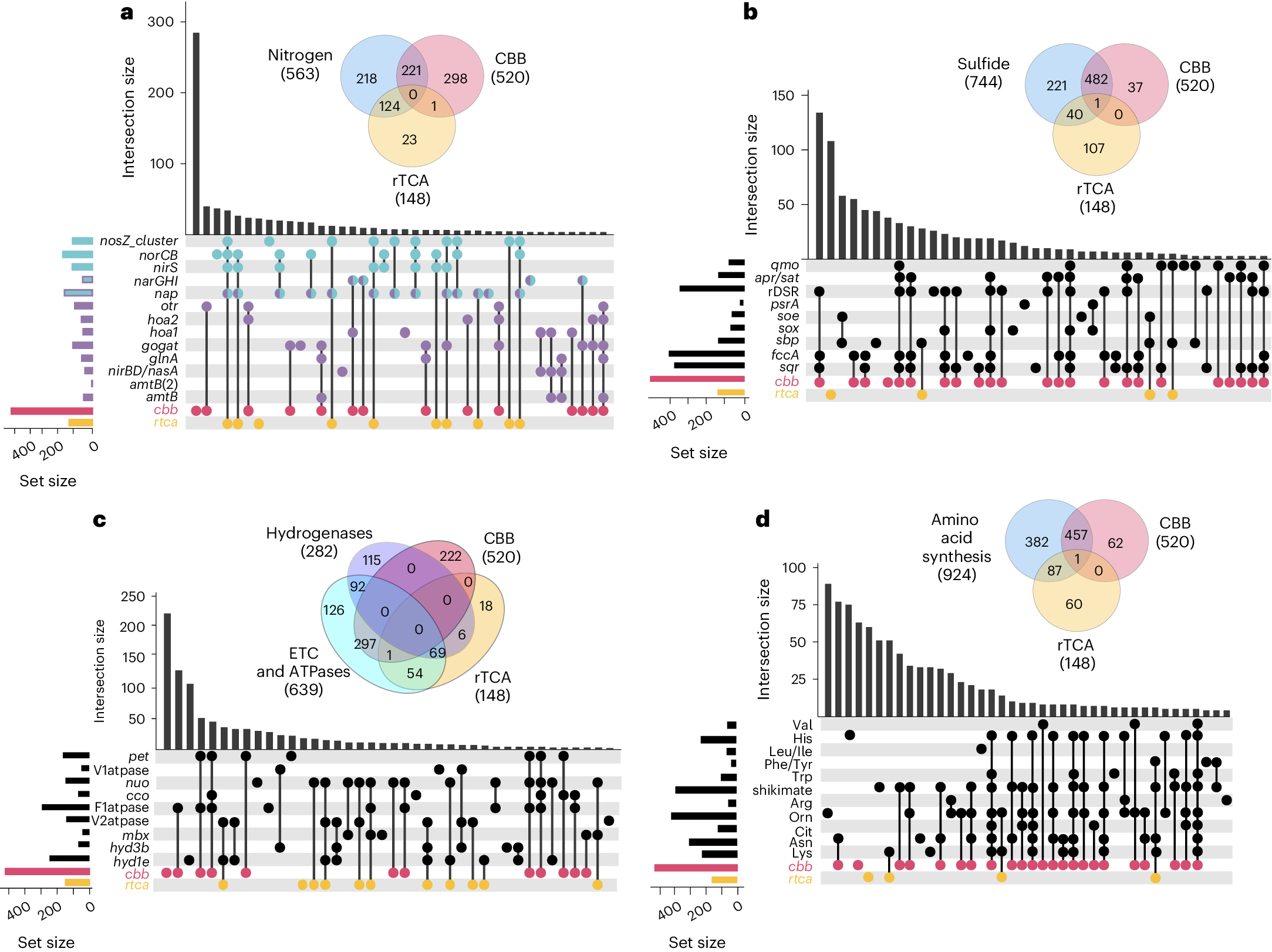Fig. 4: First-neighbour intersections between the CBB, the rTCA and other metabolic functions in the co-expression network.