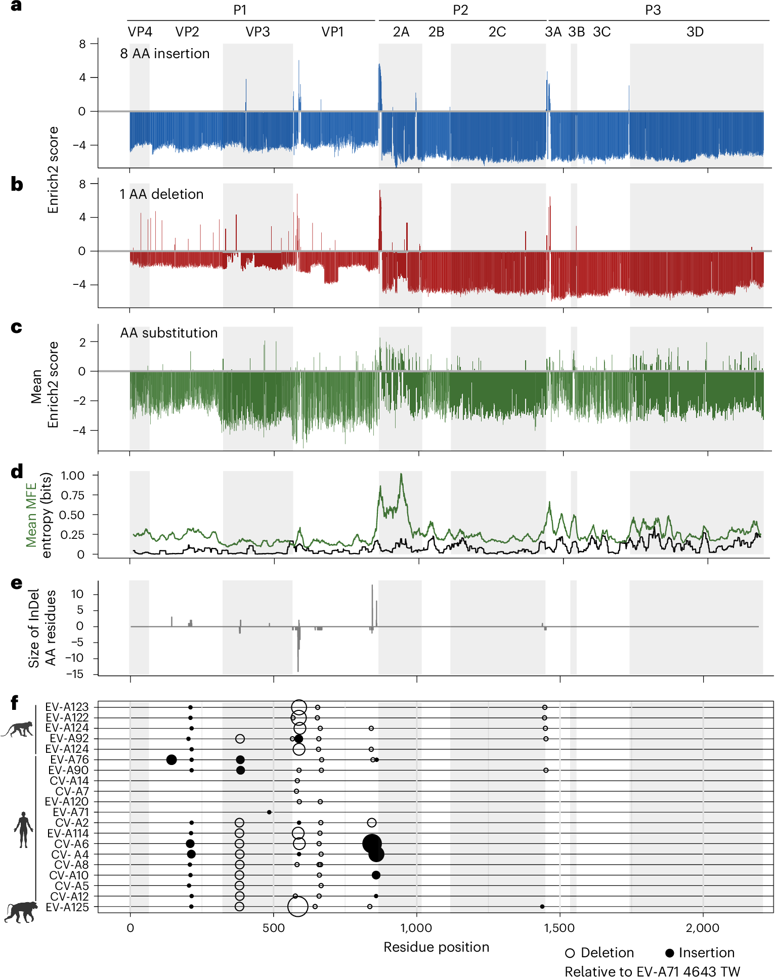Fig. 1: Profiles of InDel and AA substitution tolerance in EV-A71.