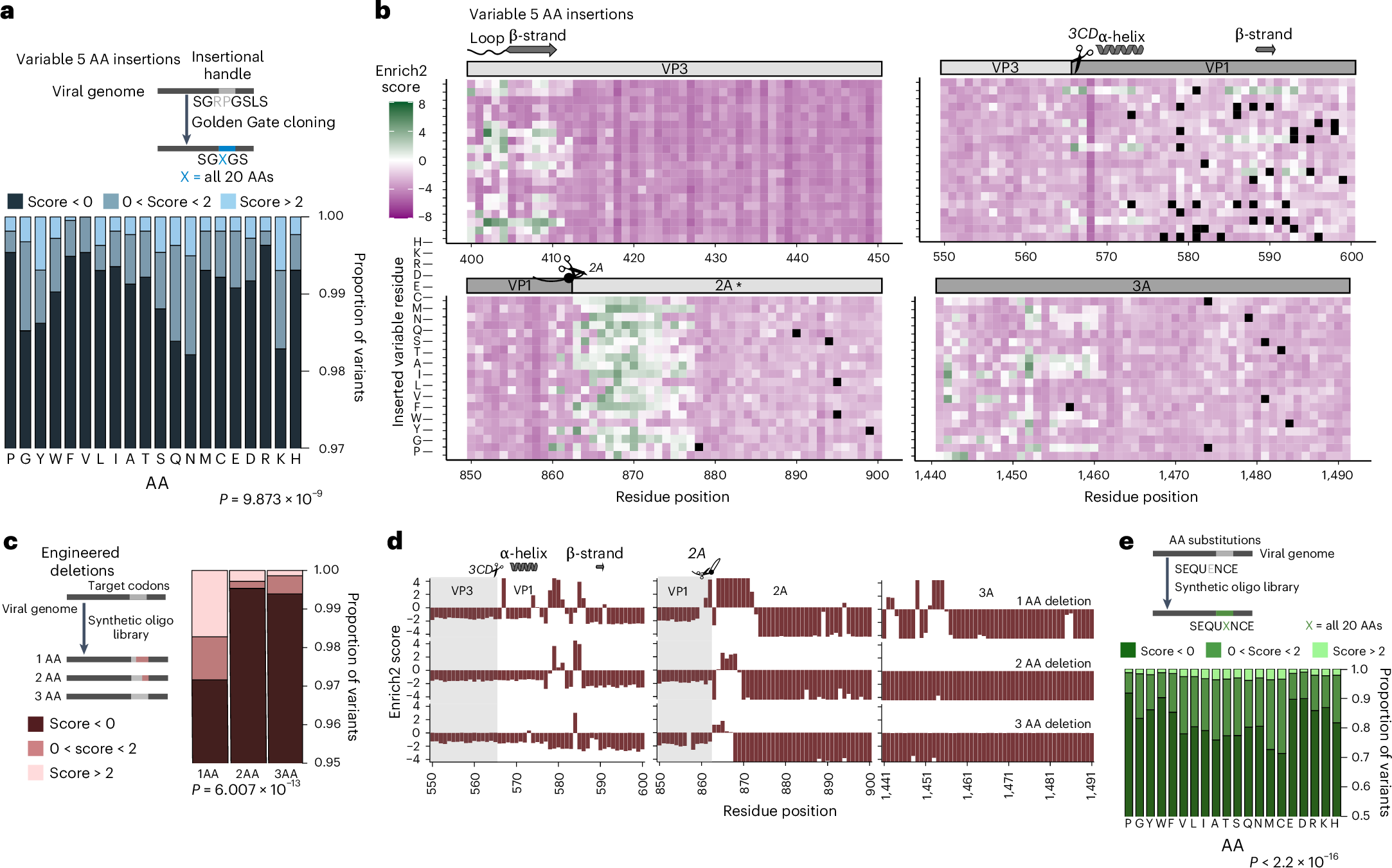 Fig. 3: Impact of altering insertion sequence, deletion length and AA residue substitution on EV-A71 growth.