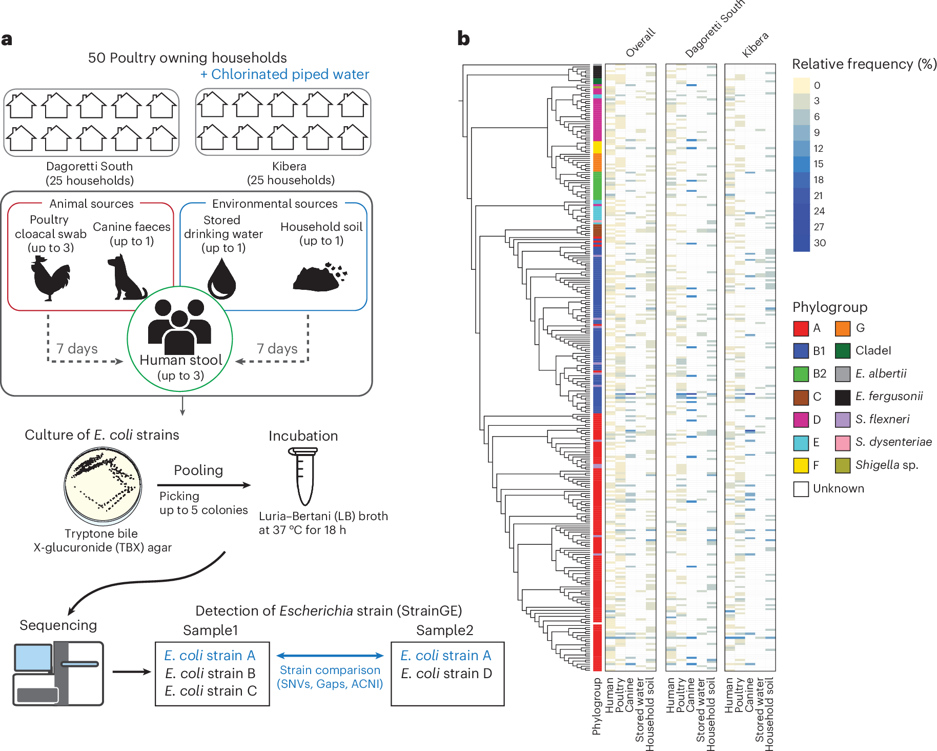 飲料水が細菌の主要感染経路であることを特定（Household drinking water identified as key pathway for bacterial transmission）
