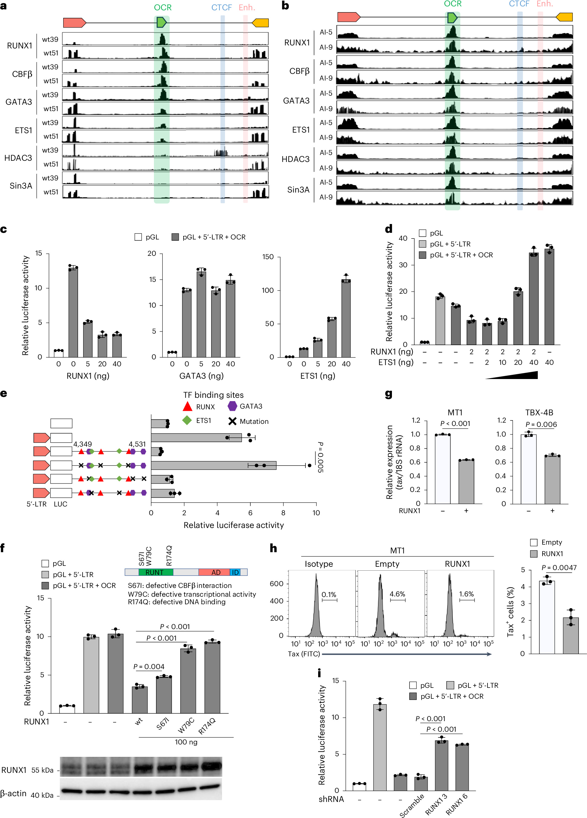 Fig. 2: Molecular characterization of the silencer complex on the OCR.