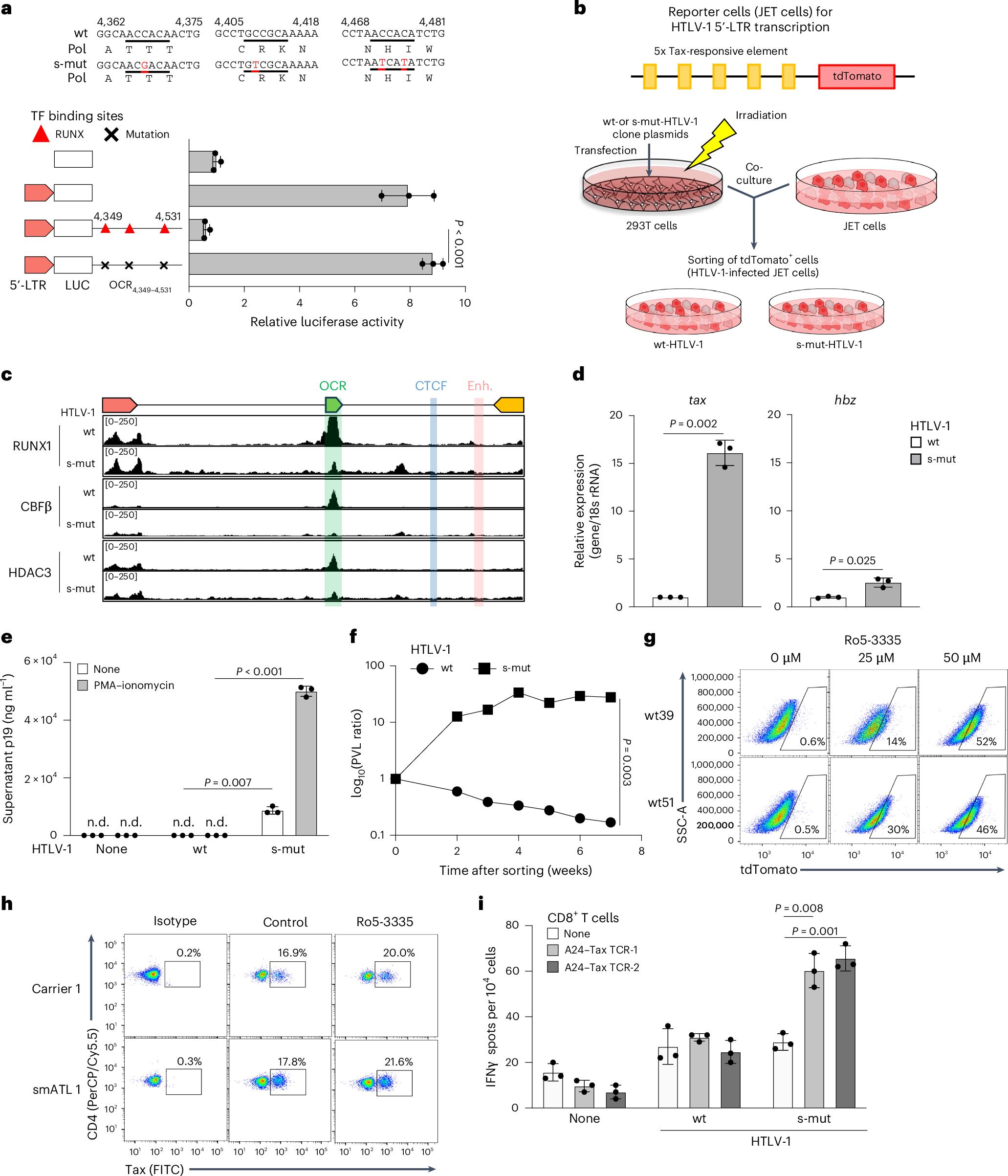 Fig. 3: Virological and immunological significance of the OCR function in HTLV-1 infection.