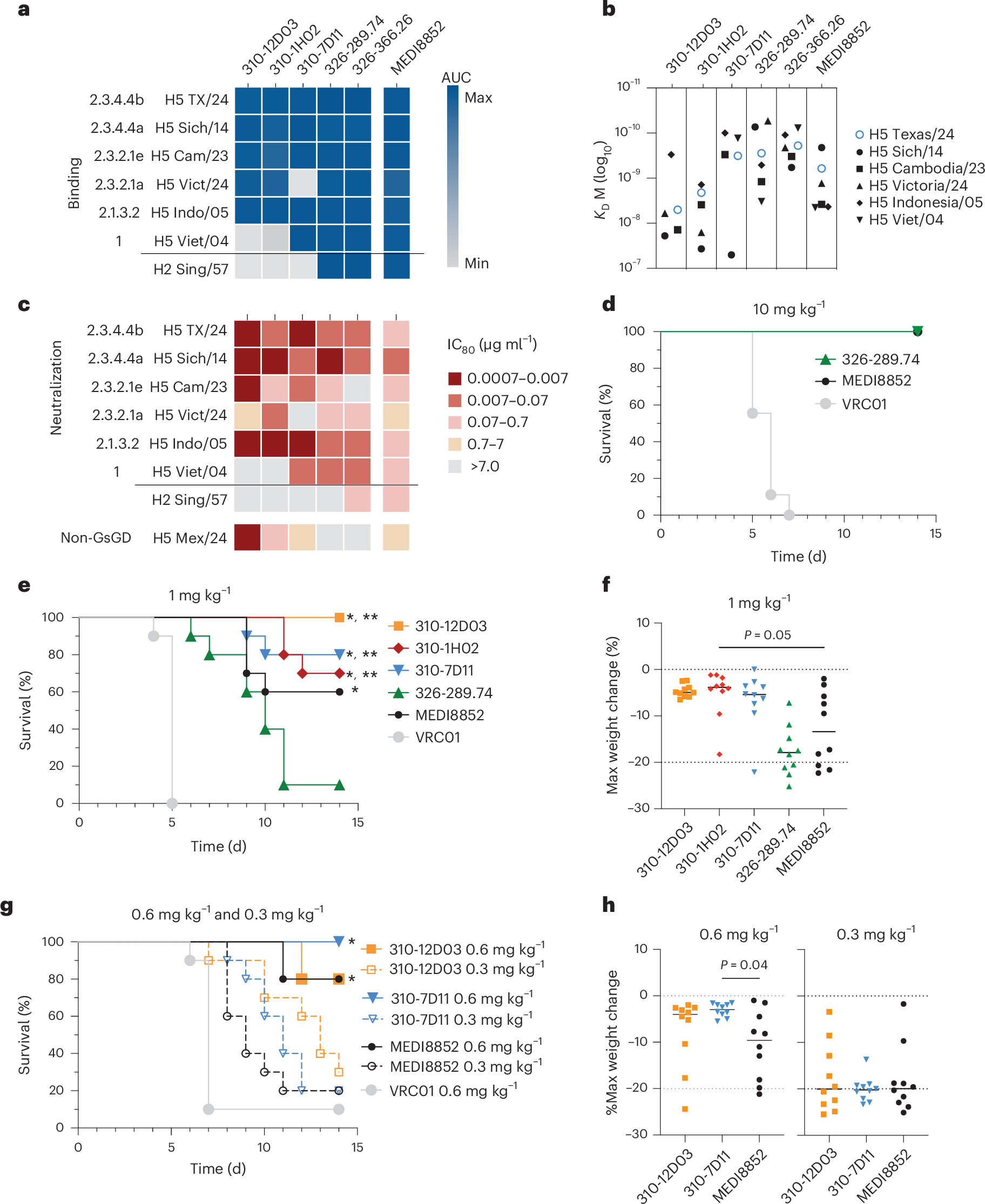 Fig. 3: Characterization of top mAbs.