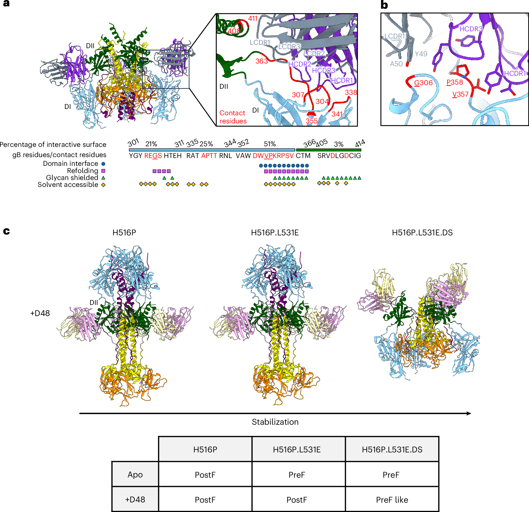 Fig. 6: Cryo-EM structures of the antibodies WS.HSV-1.24 and D48 in complex with HSV-1 gB reveal mechanisms of gB neutralization.