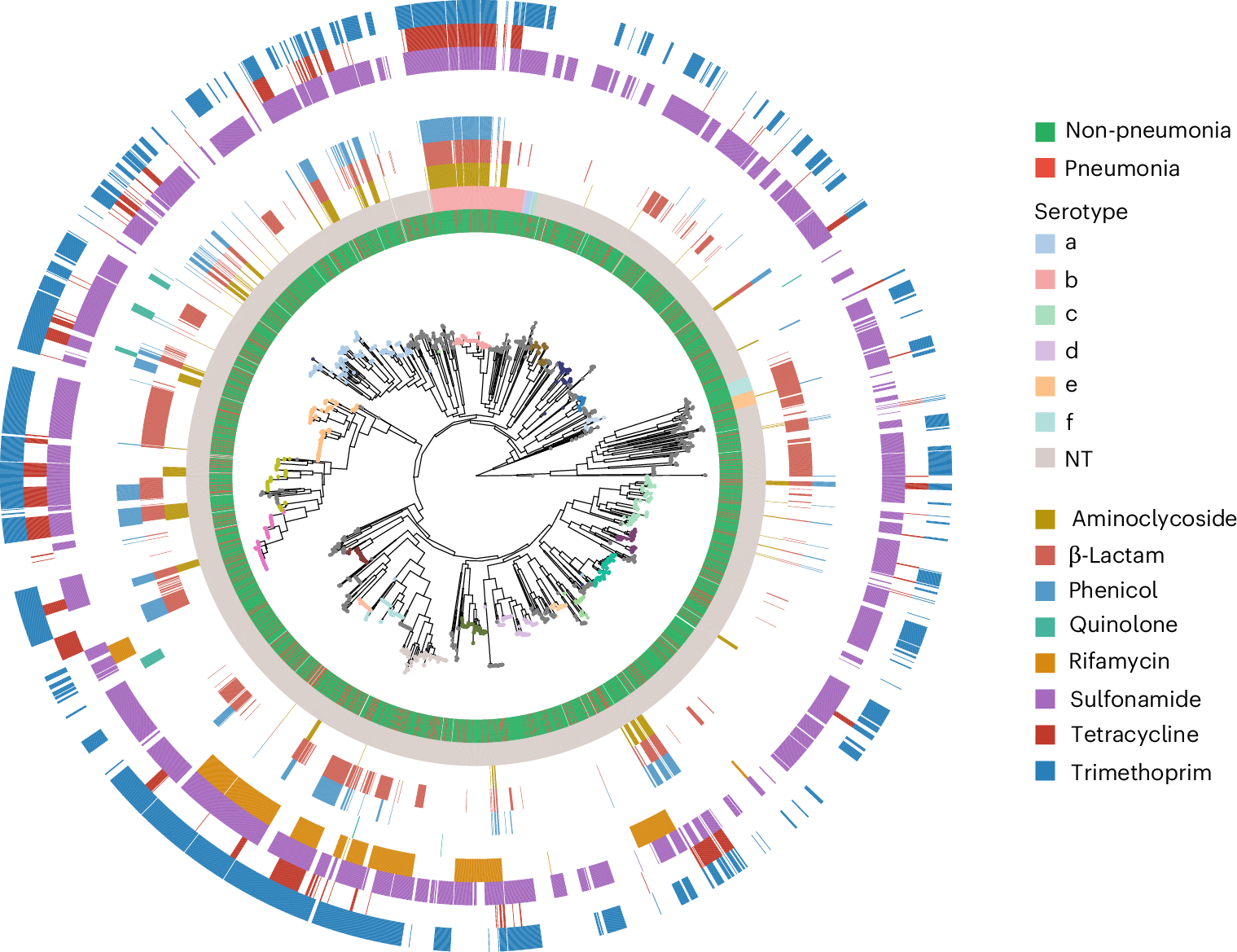 Fig. 2: Phylogeny of Maela H. influenzae genomes for 3,970 isolates.