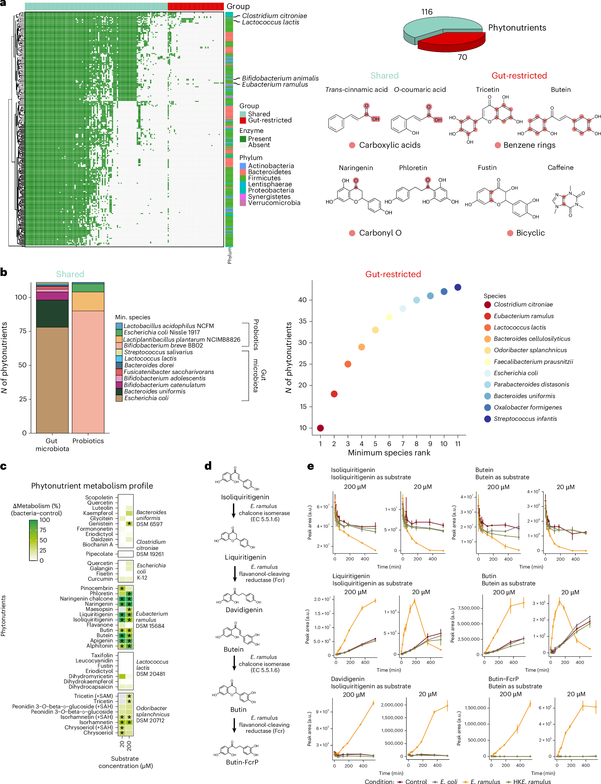 Fig. 2: Comparison of the biotransformation potential of phytonutrients by the gut microbiota and probiotics.
