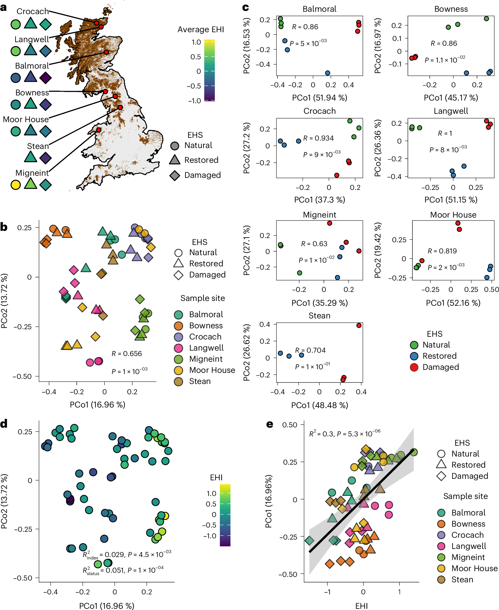 泥炭地ウイルスが生態系の健康に積極的な役割を果たす(Peatland viruses play active role in ecosystem health)