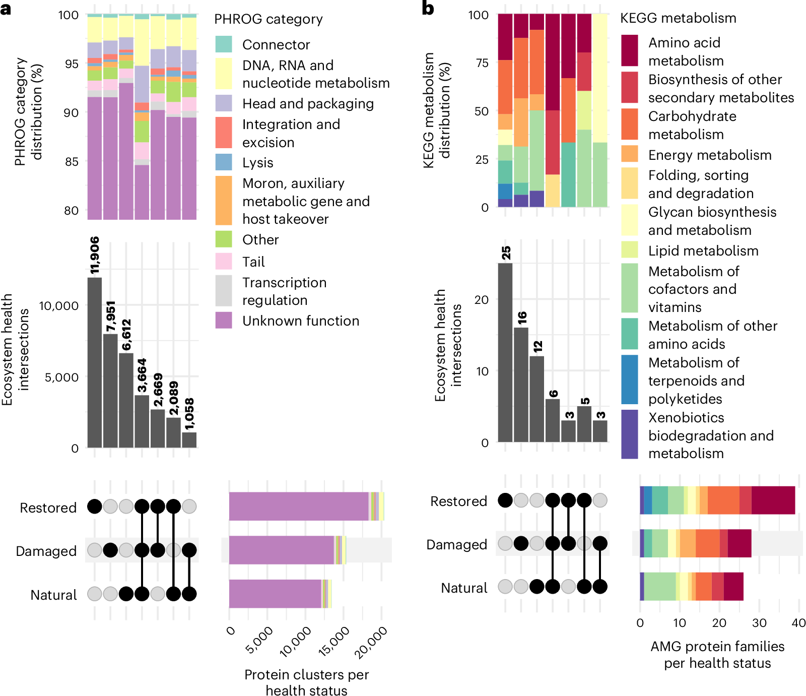 Fig. 4: Viral protein-coding genes and AMGs across EHSs.