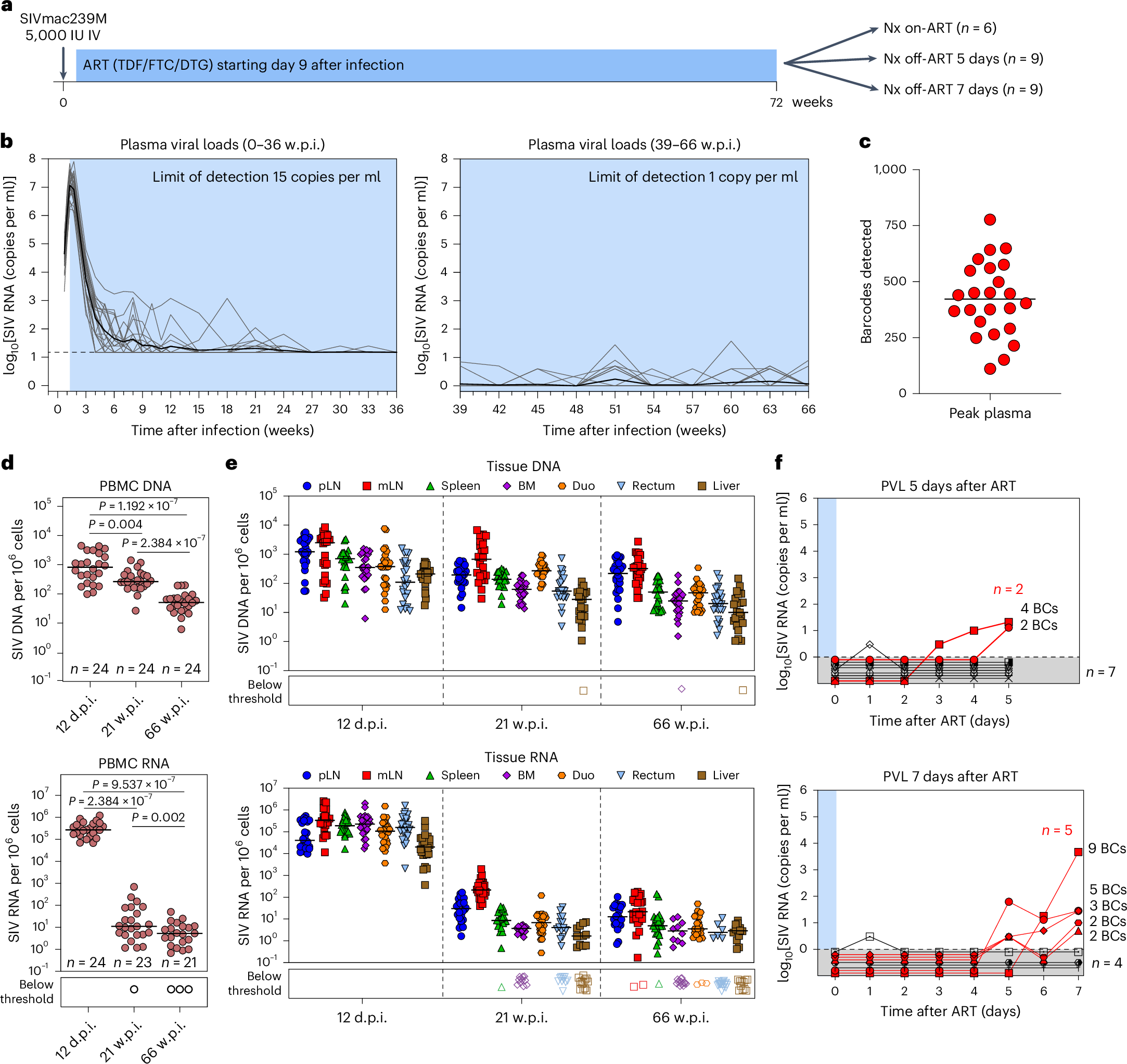 Fig. 1: Study schematic and baseline viral measurements.