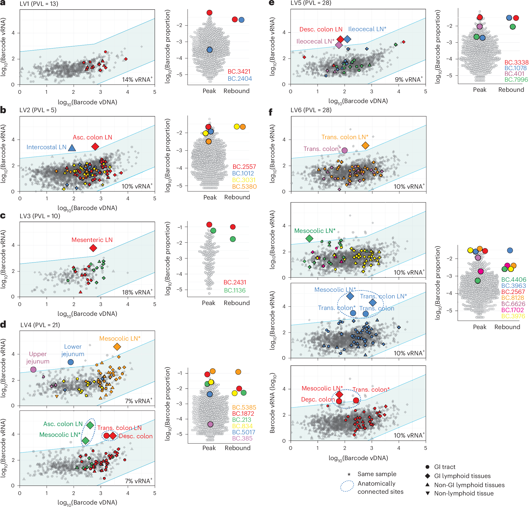 Fig. 4: Off-ART, low-viraemic macaques demonstrate linkage between tissue outlier barcodes and rebounding virus in plasma.