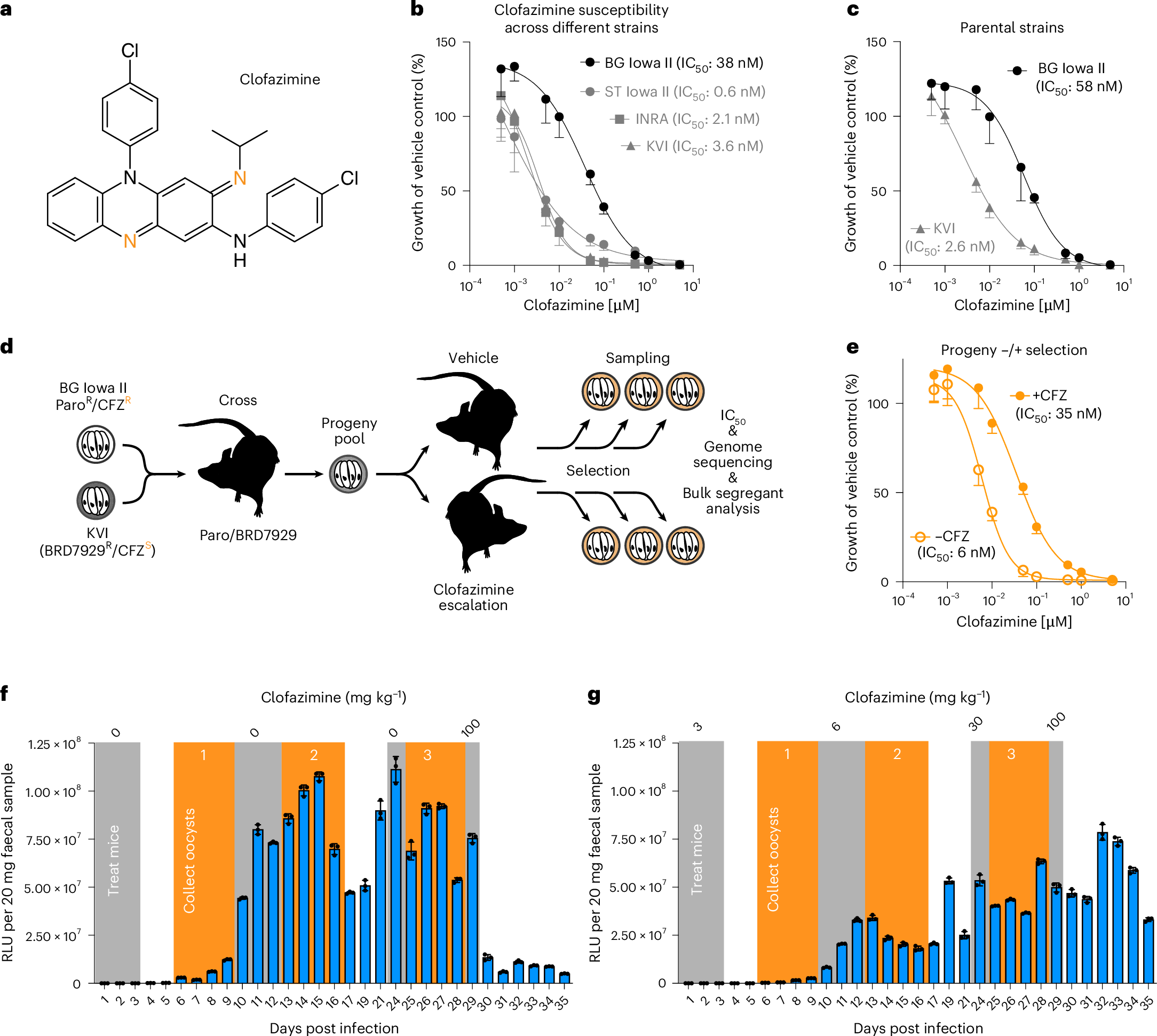 Genomic heterogeneity of NAD(P)H dehydrogenase predisposes 