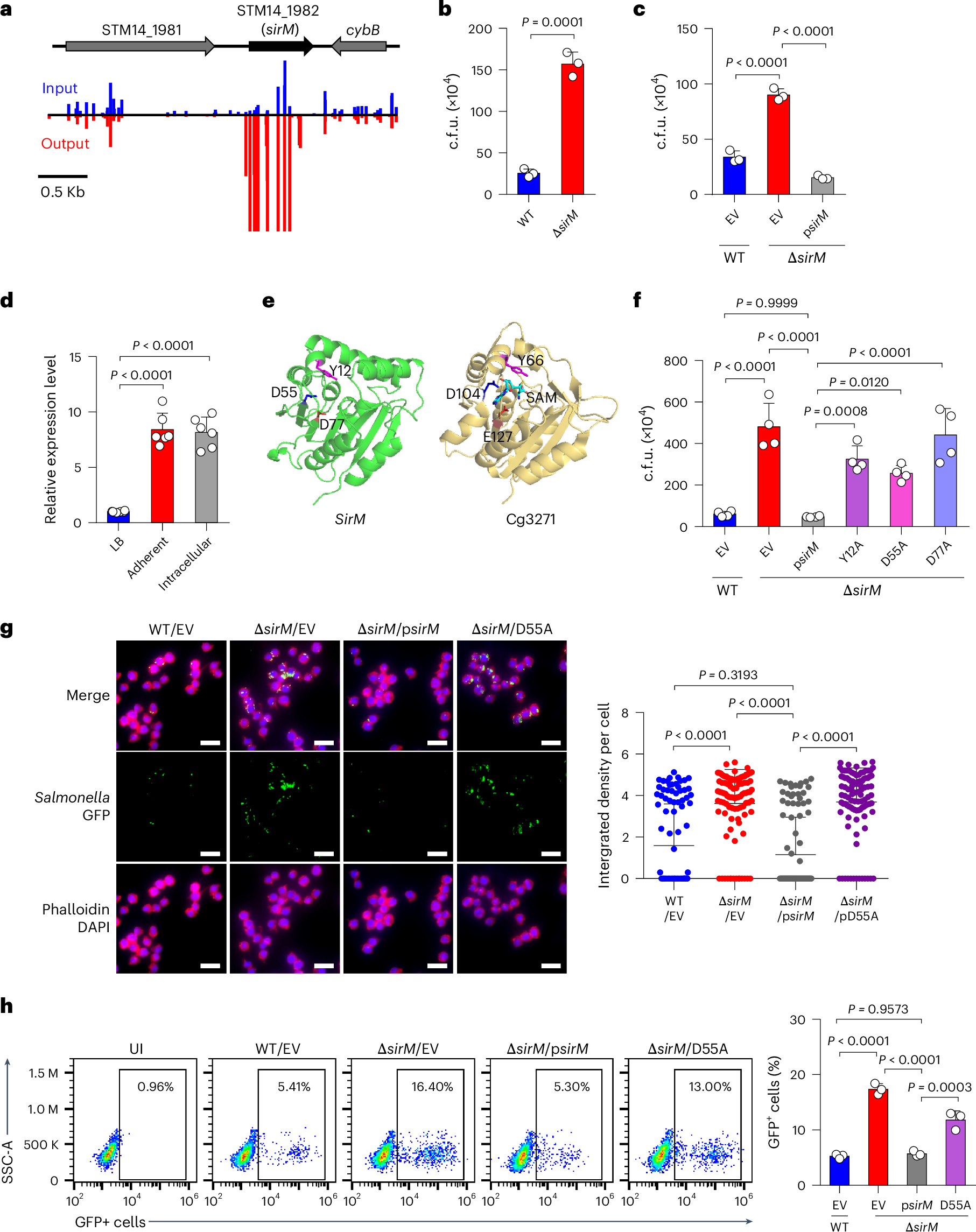 kb glutathione website Mitochondrial metabolism regulates macrophage biology Discovery of a Covalent Inhibitor