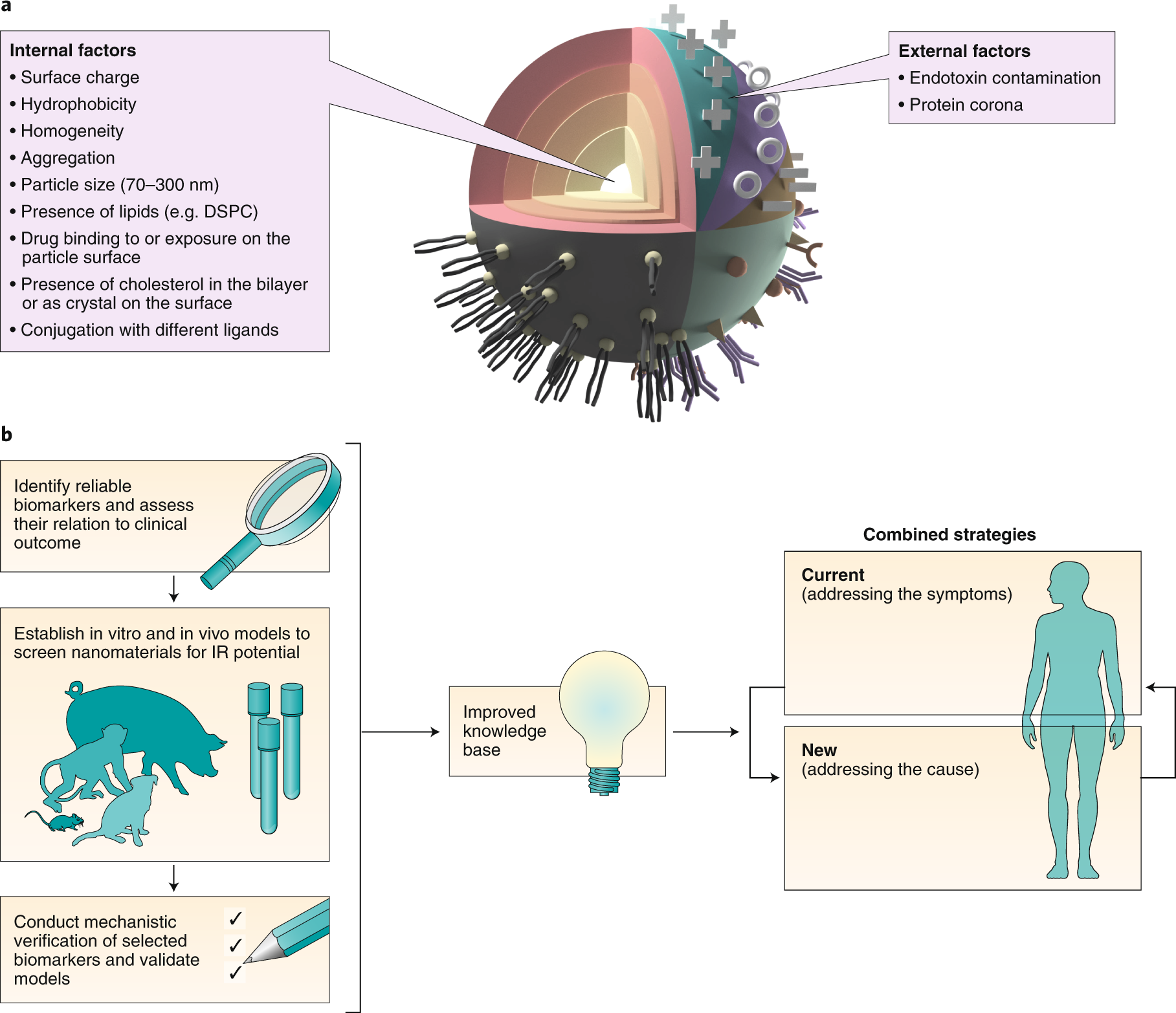 Roadmap And Strategy For Overcoming Infusion Reactions To - 