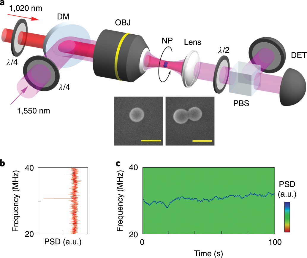 Ultrasensitive torque detection with an optically levitated nanorotor